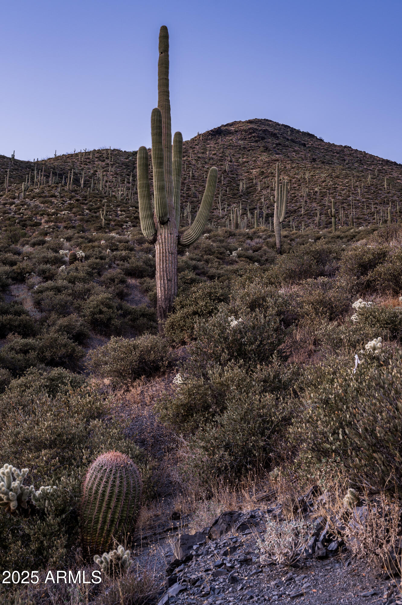 DESERT MOUNTAIN - Land