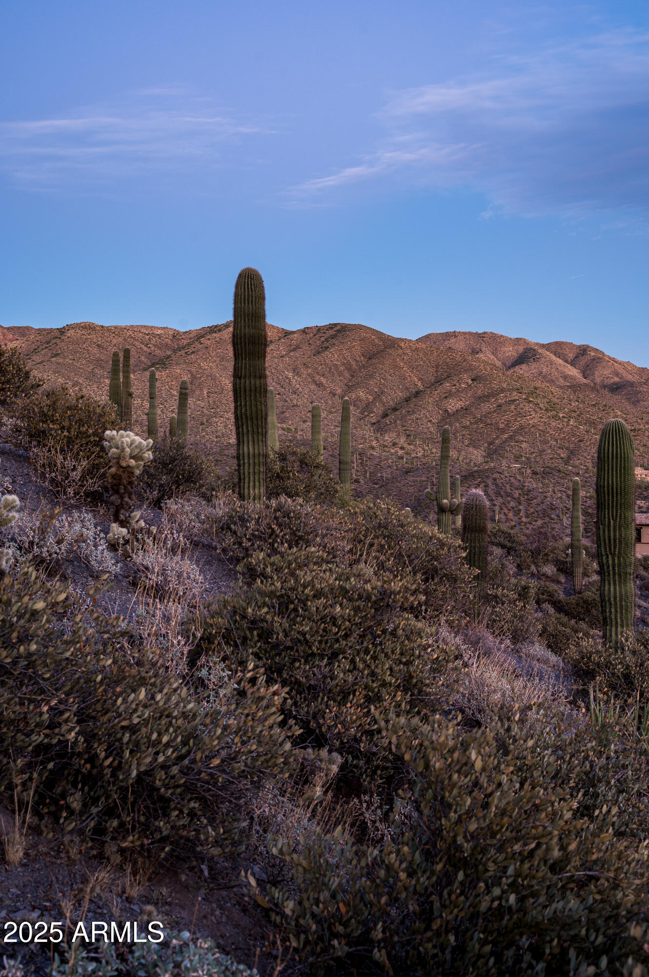 DESERT MOUNTAIN - Land