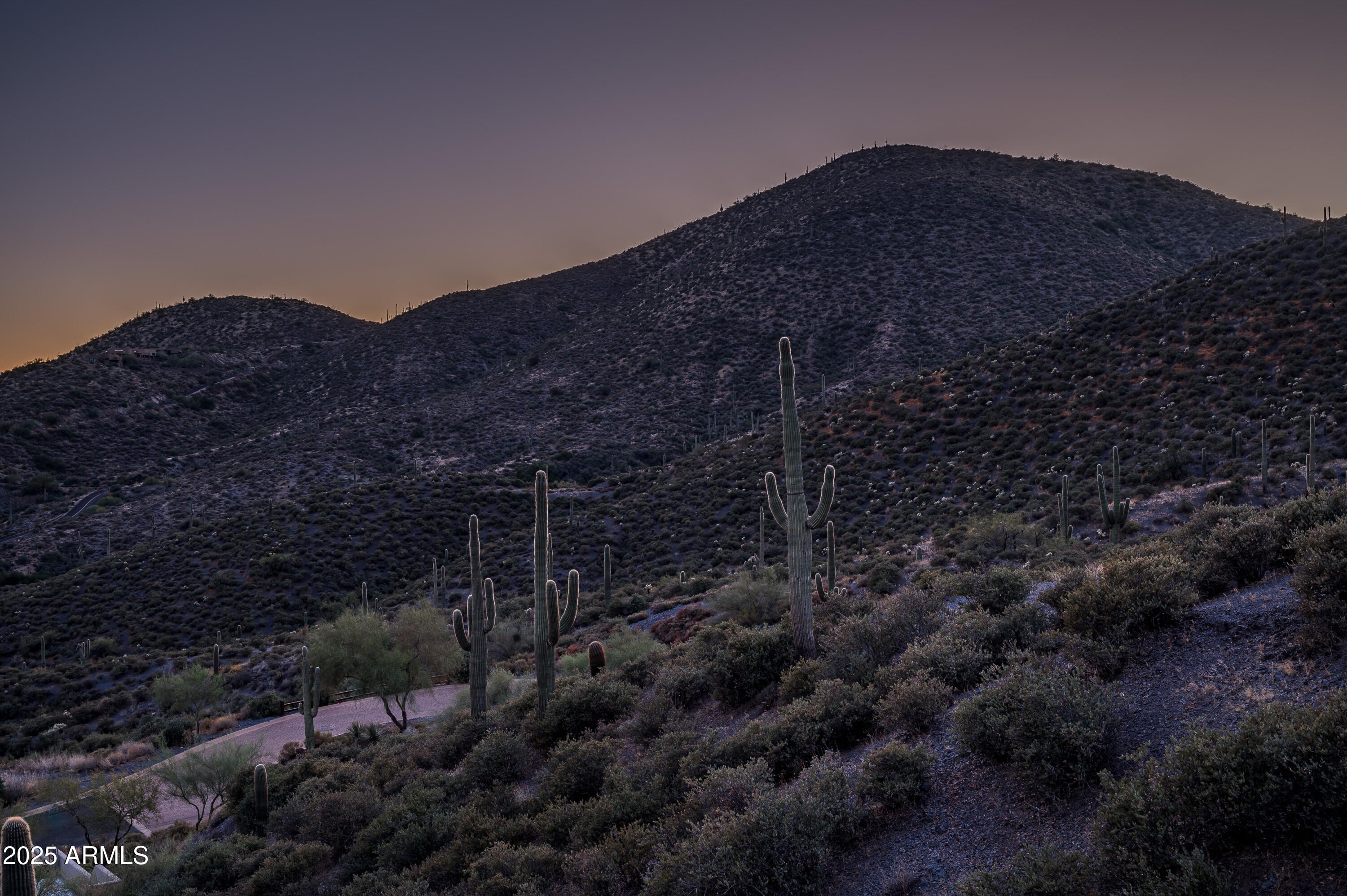 DESERT MOUNTAIN - Land