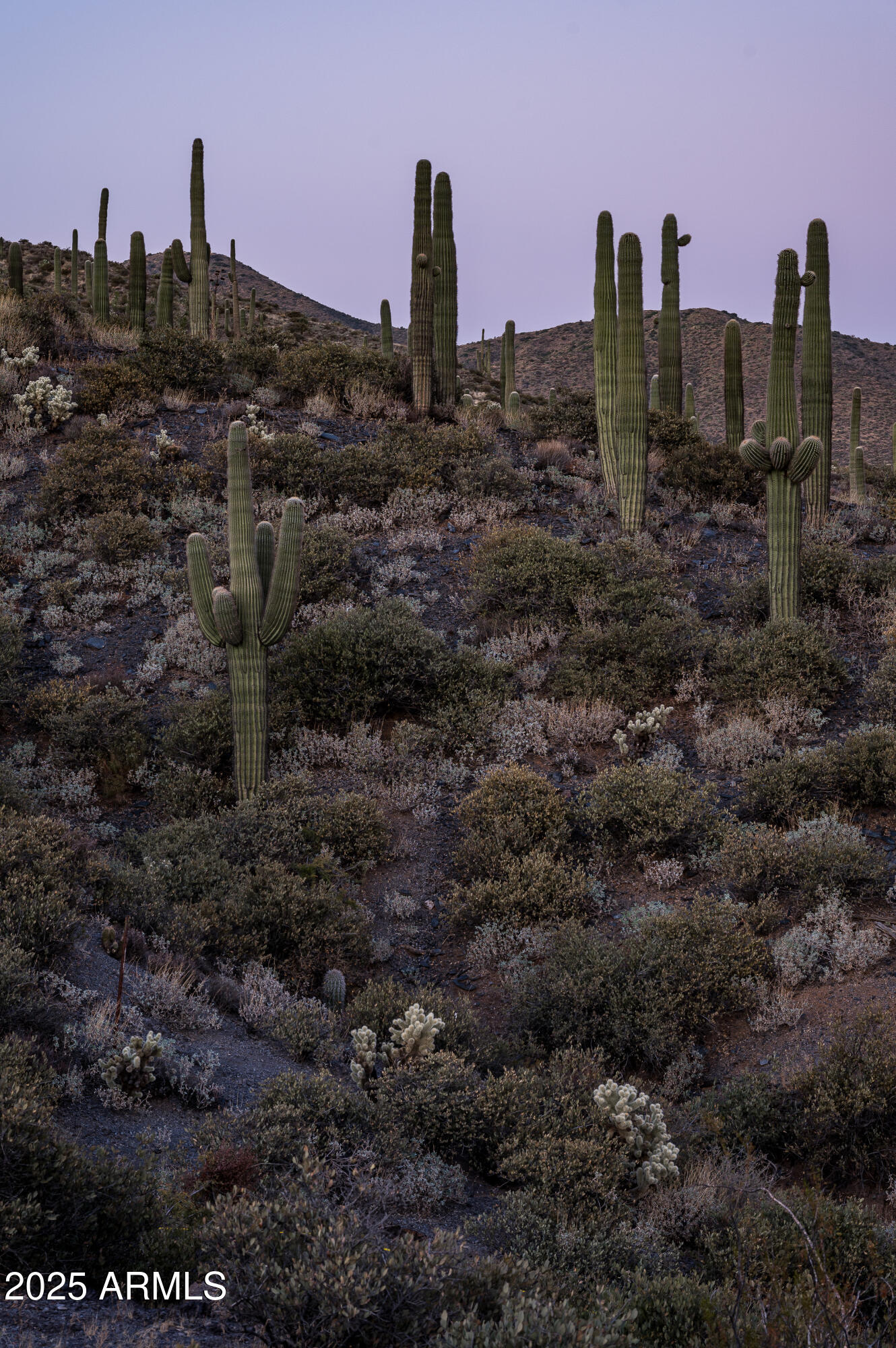 DESERT MOUNTAIN - Land