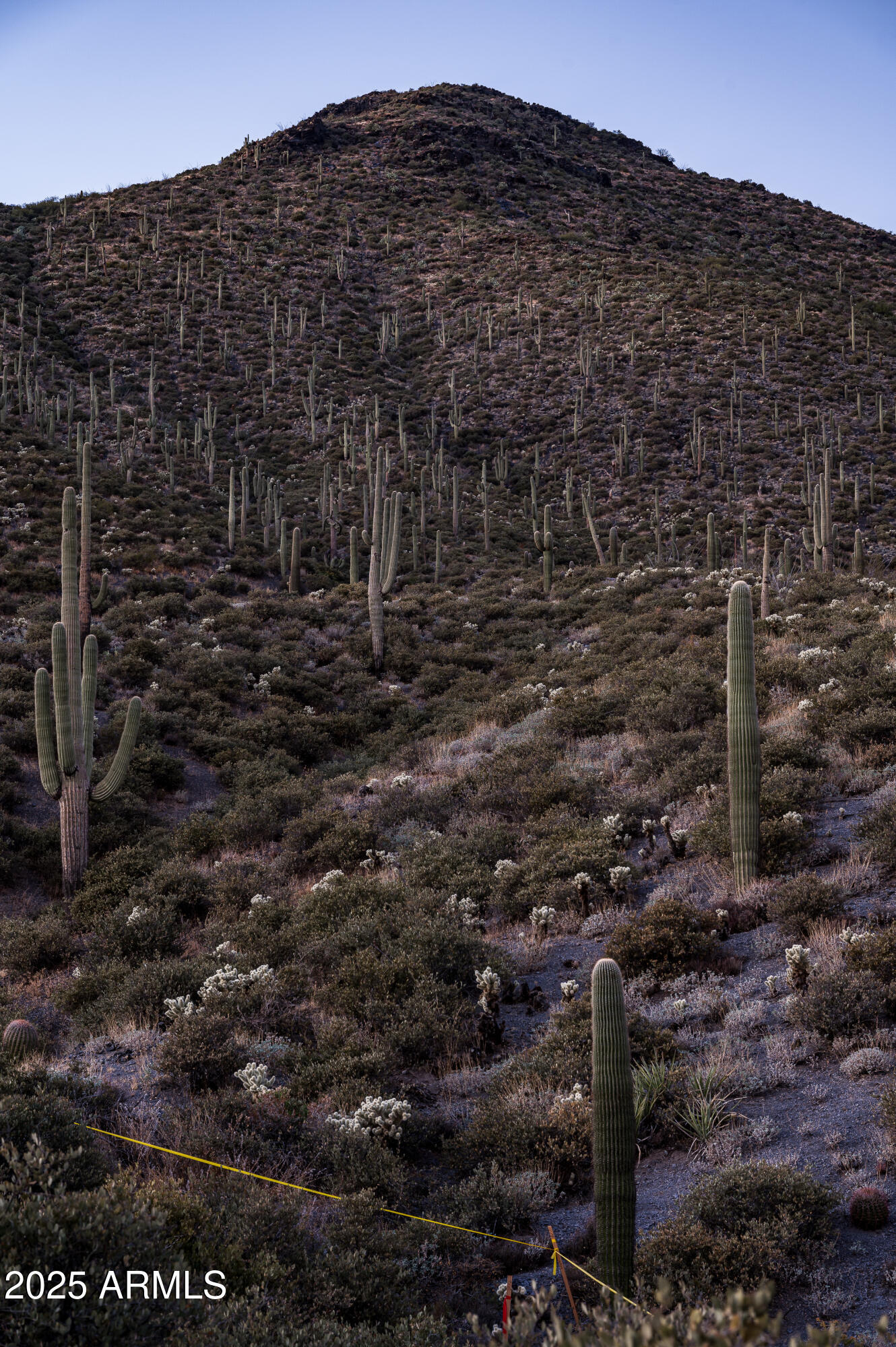 DESERT MOUNTAIN - Land
