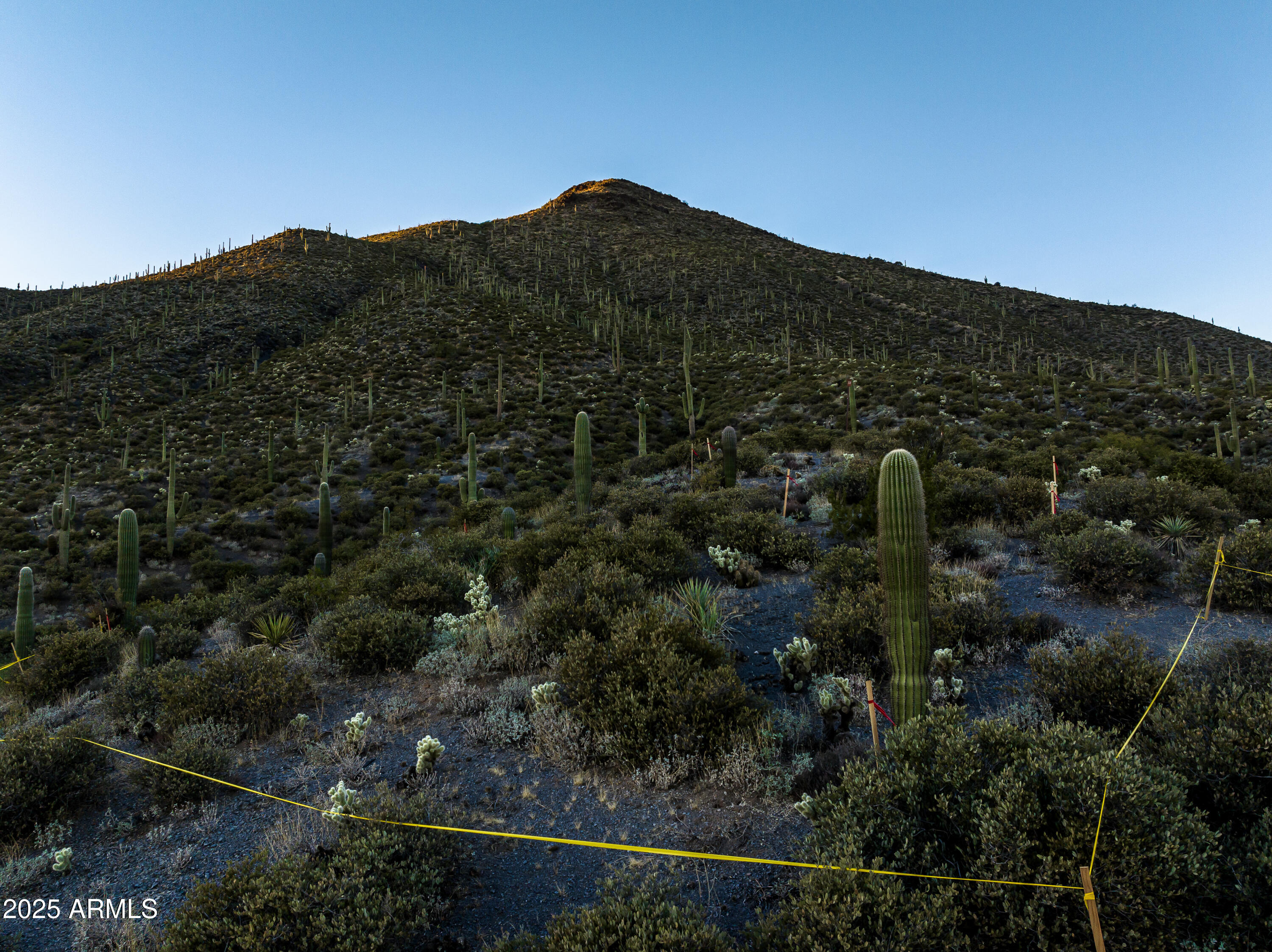 DESERT MOUNTAIN - Land