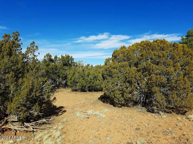 Multiple 10 Acre Parcels available.
404-69-005 D - Land