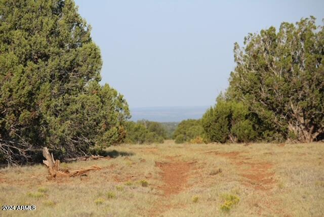 Multiple 10 Acre Parcels available.
404-69-005 D - Land