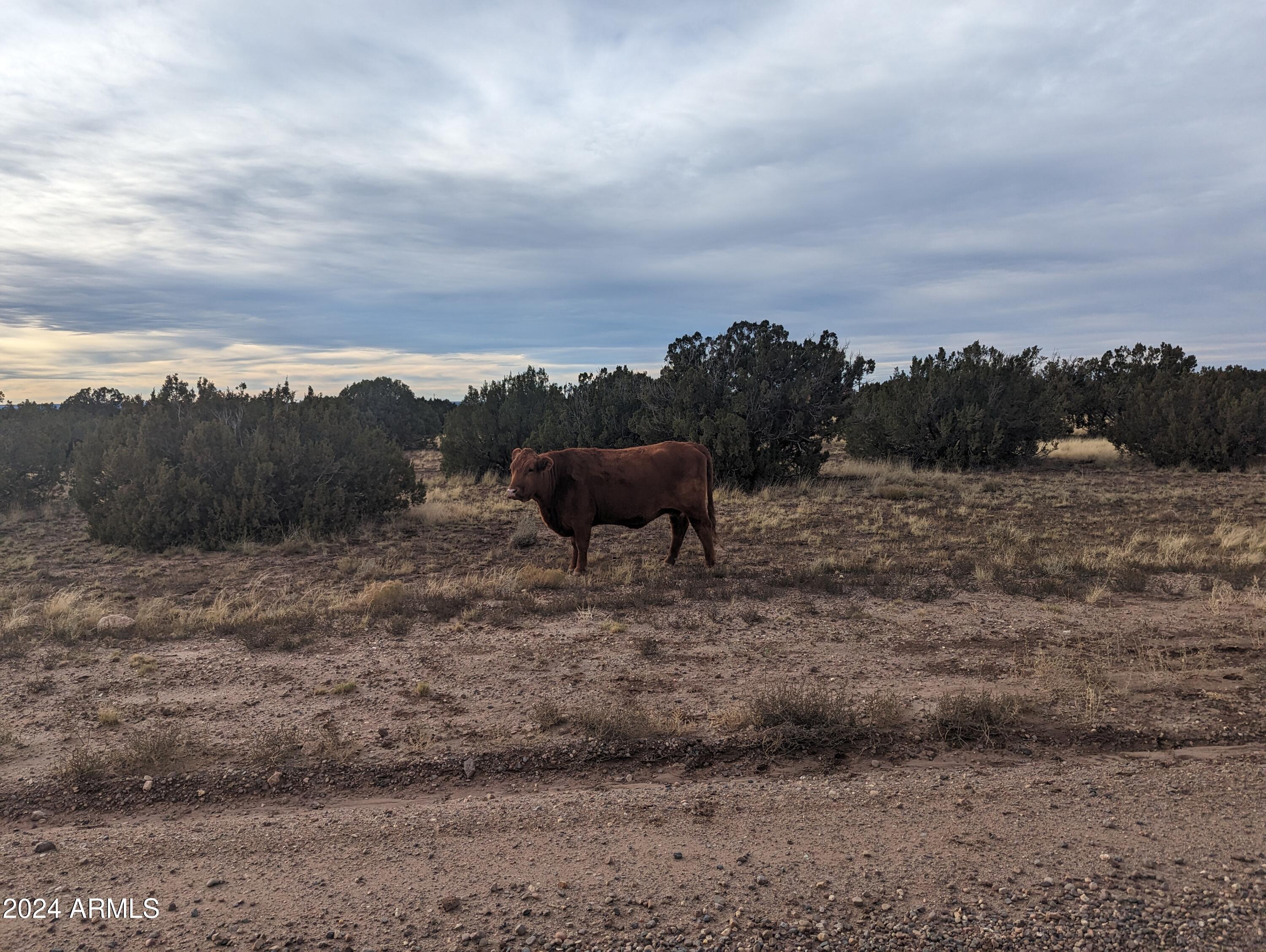 Multiple 10 Acre Parcels available.
404-69-005 D - Land