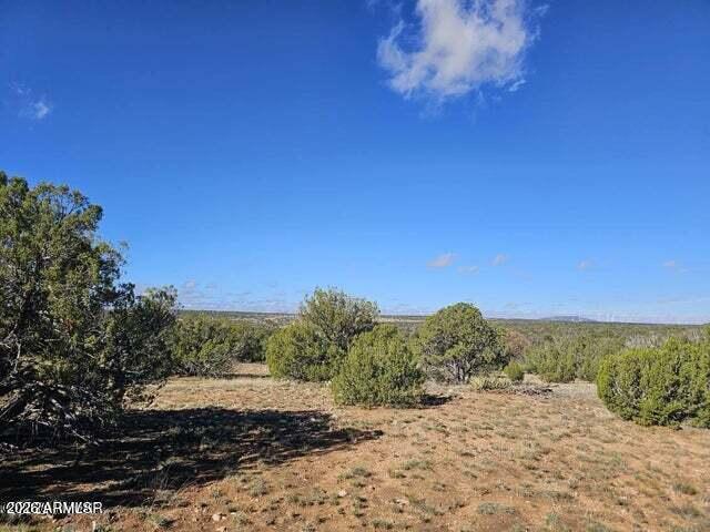 Very nice 10 acre parcel less than a quarter mile from Deer Run Water Co-op's well 2 where you can join for $300 initial cost, of which $200 goes to maintenance of the wells and $100 is for water all year and each year after it is only $100 unless they raise it. You also have the option of drilling your own well. Lots of trees and numerous spots to either build or place a manufactured home on it. Just a short distance to the National Forest to go hunting or exploring, or riding you're side by side, horses or quads.