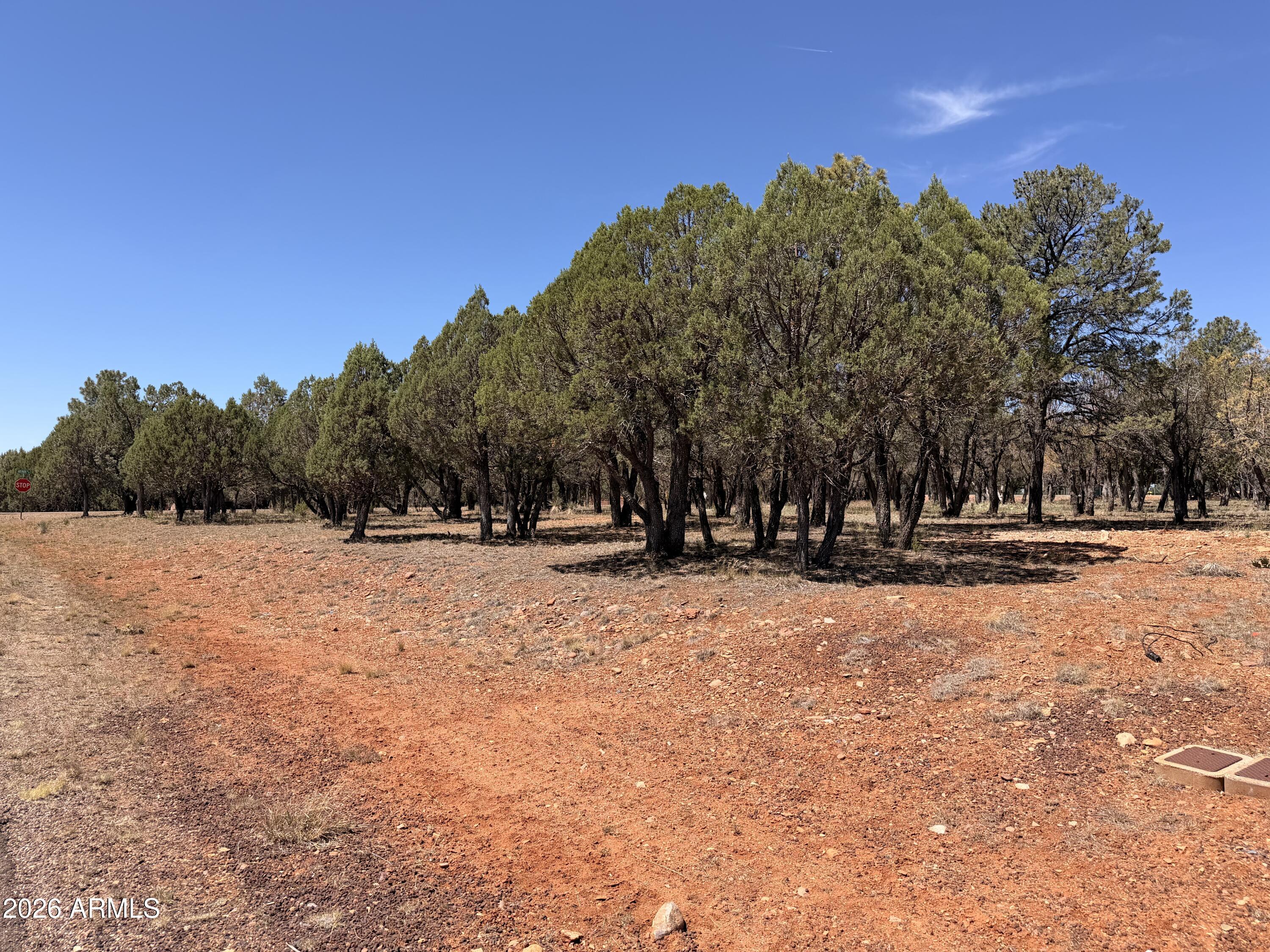MOGOLLON AIR PARK UNIT 4 - Land