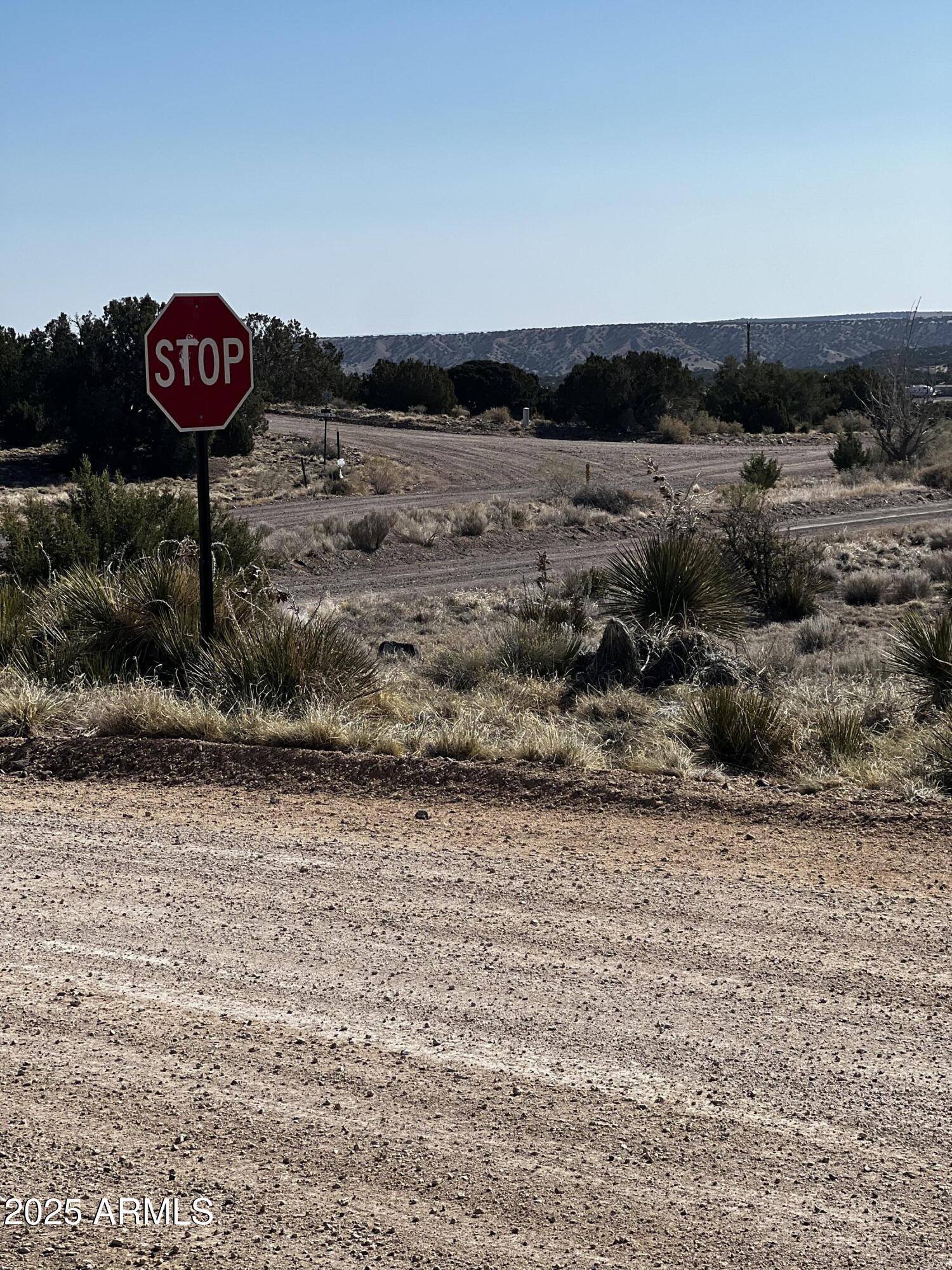 Concho Valley Unit 4-A - Land