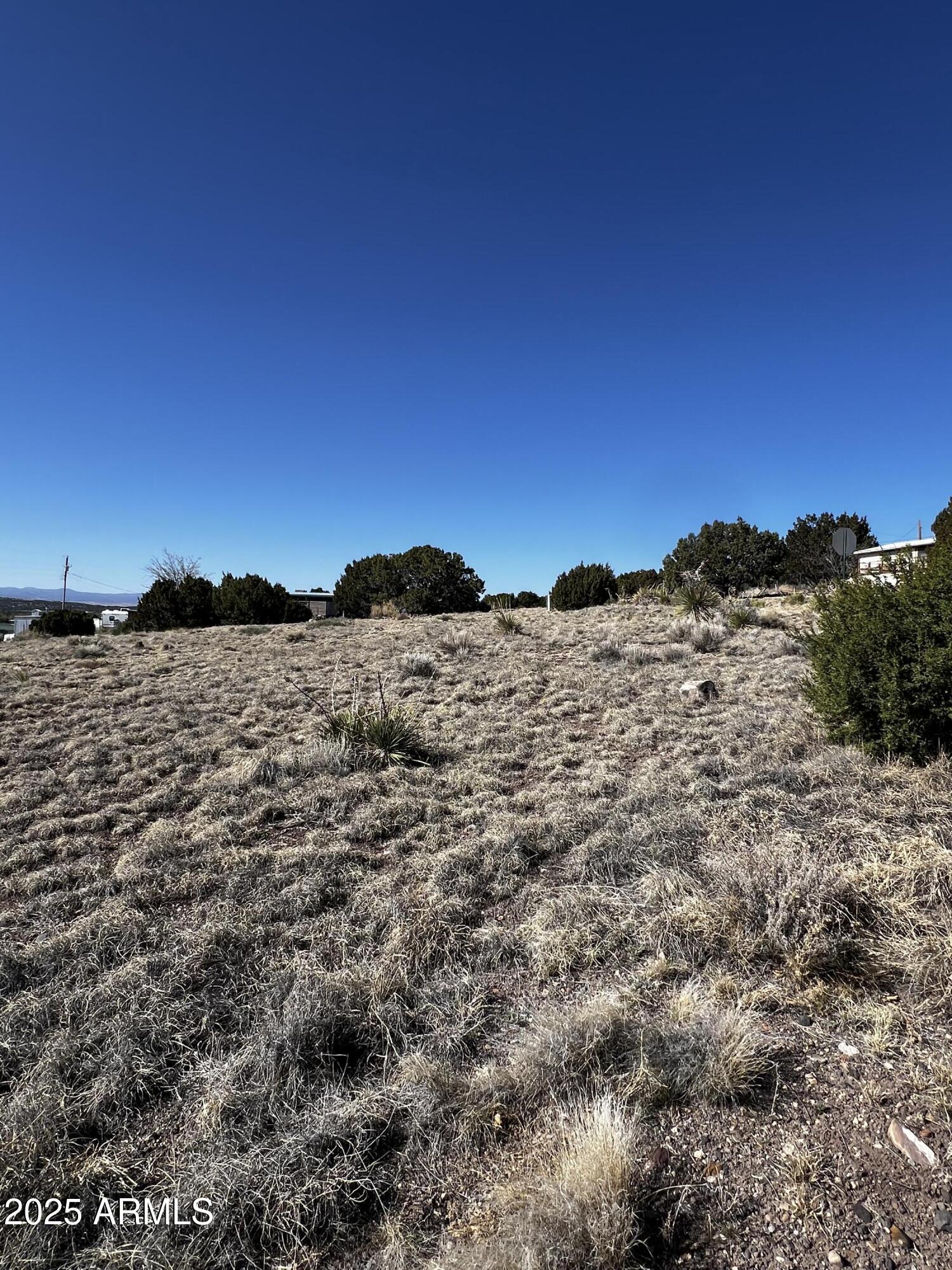 Concho Valley Unit 4-A - Land
