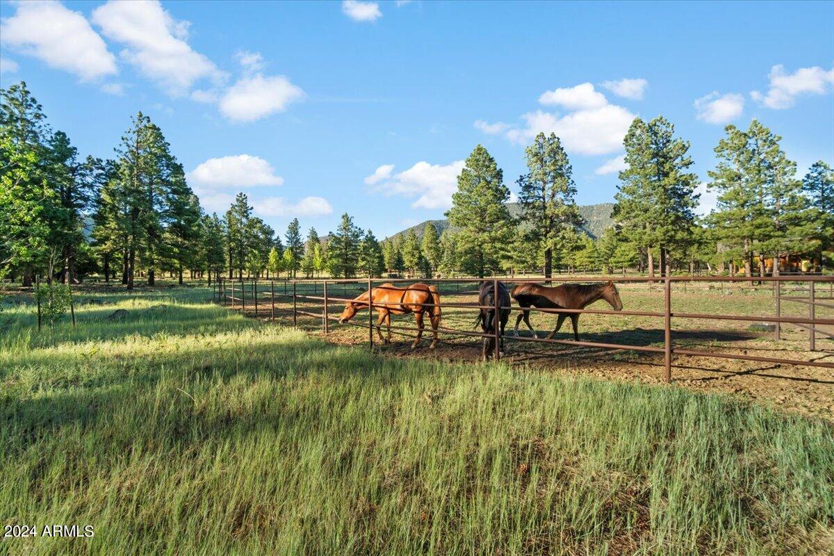 LOCKETT RANCHES - Residential