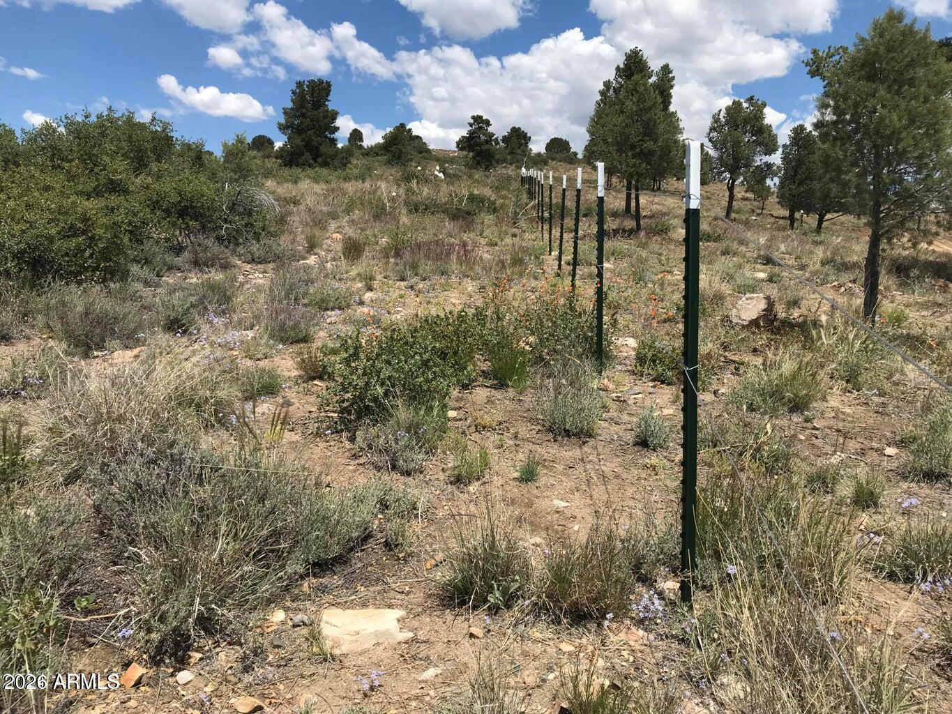 Legacy Lane - Land