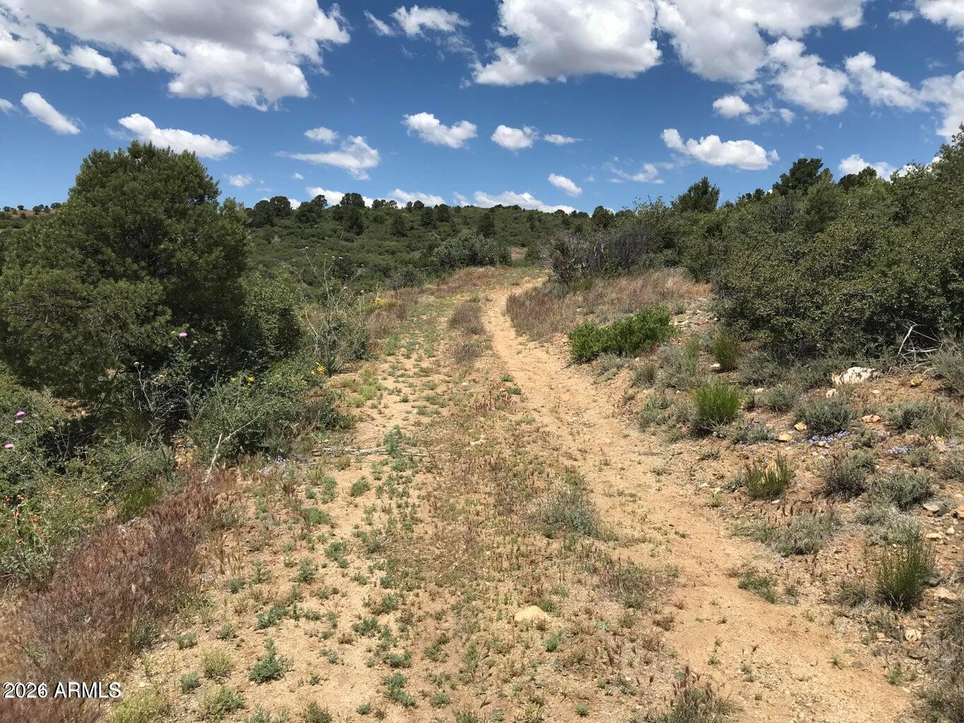 Legacy Lane - Land