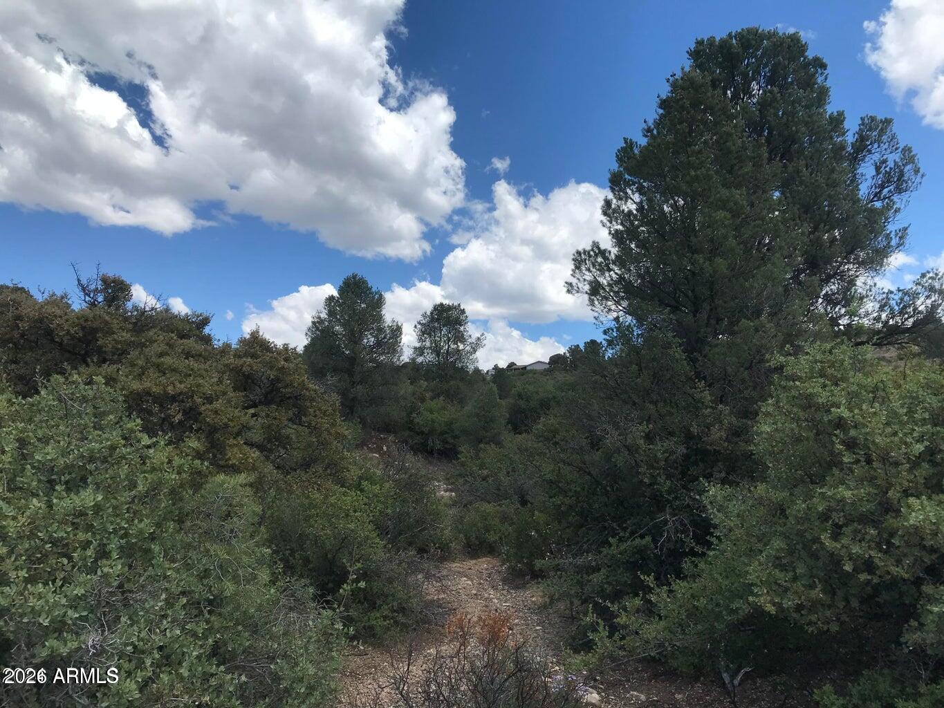 Legacy Lane - Land