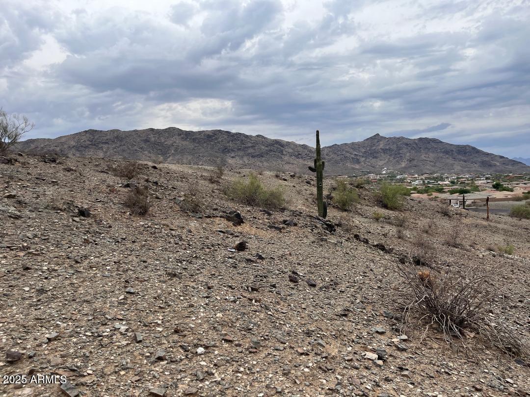 5 Parcels: HOLLAND ESTATES - Land