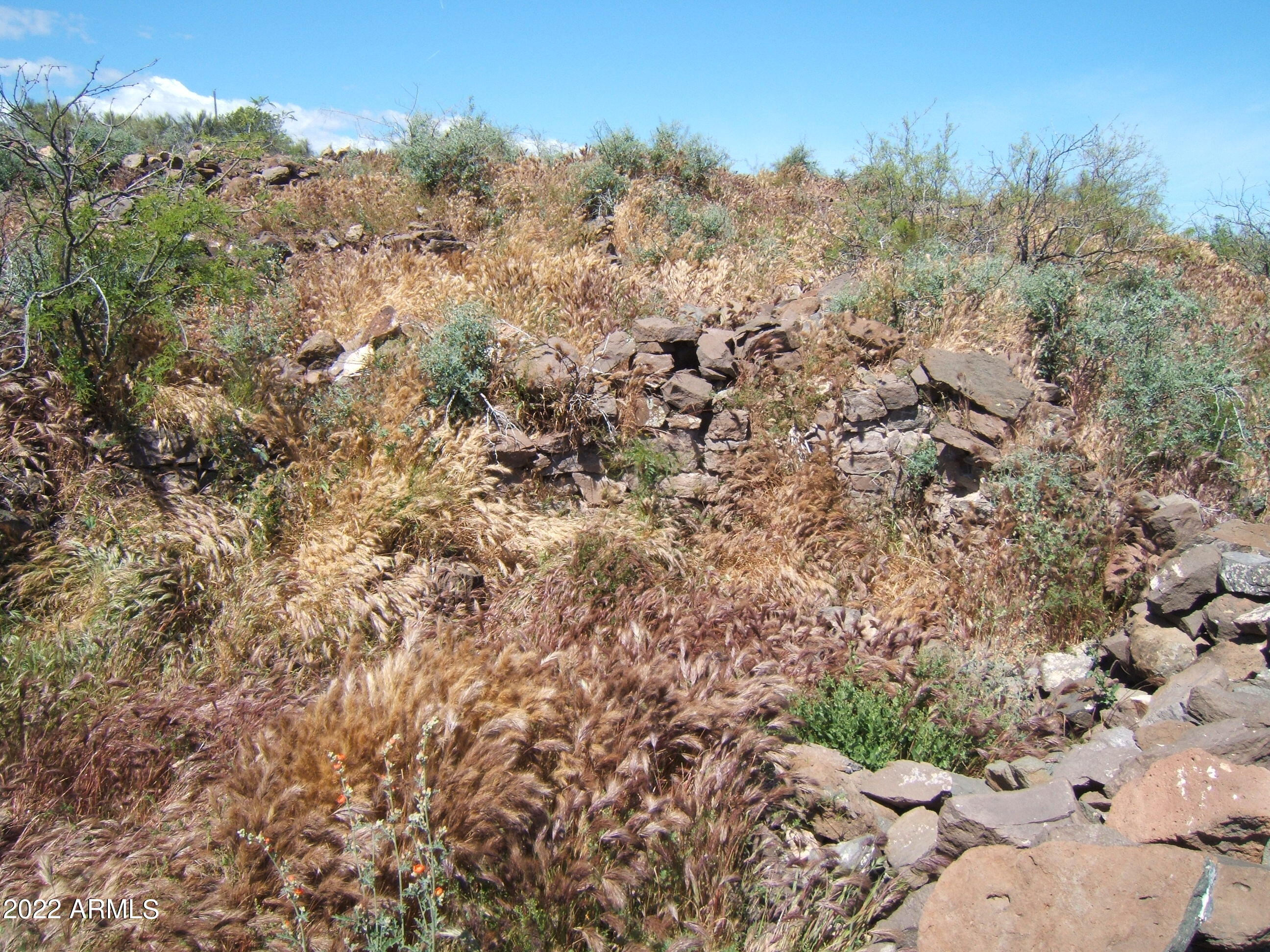 SPRING CREEK RANCH - Land