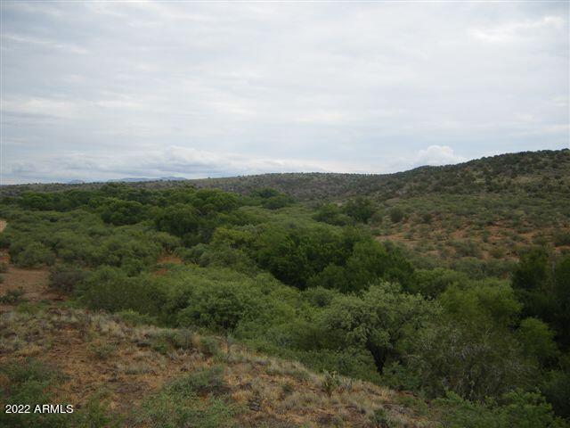 SPRING CREEK RANCH - Land