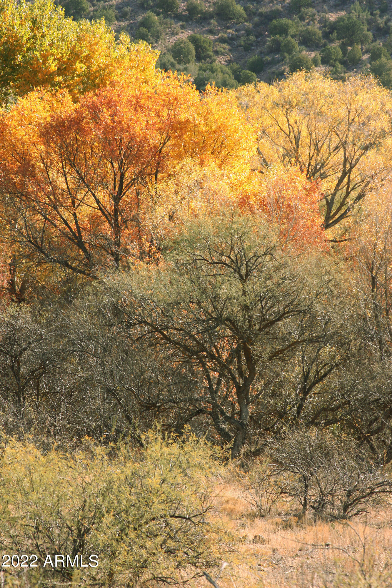 SPRING CREEK RANCH - Land