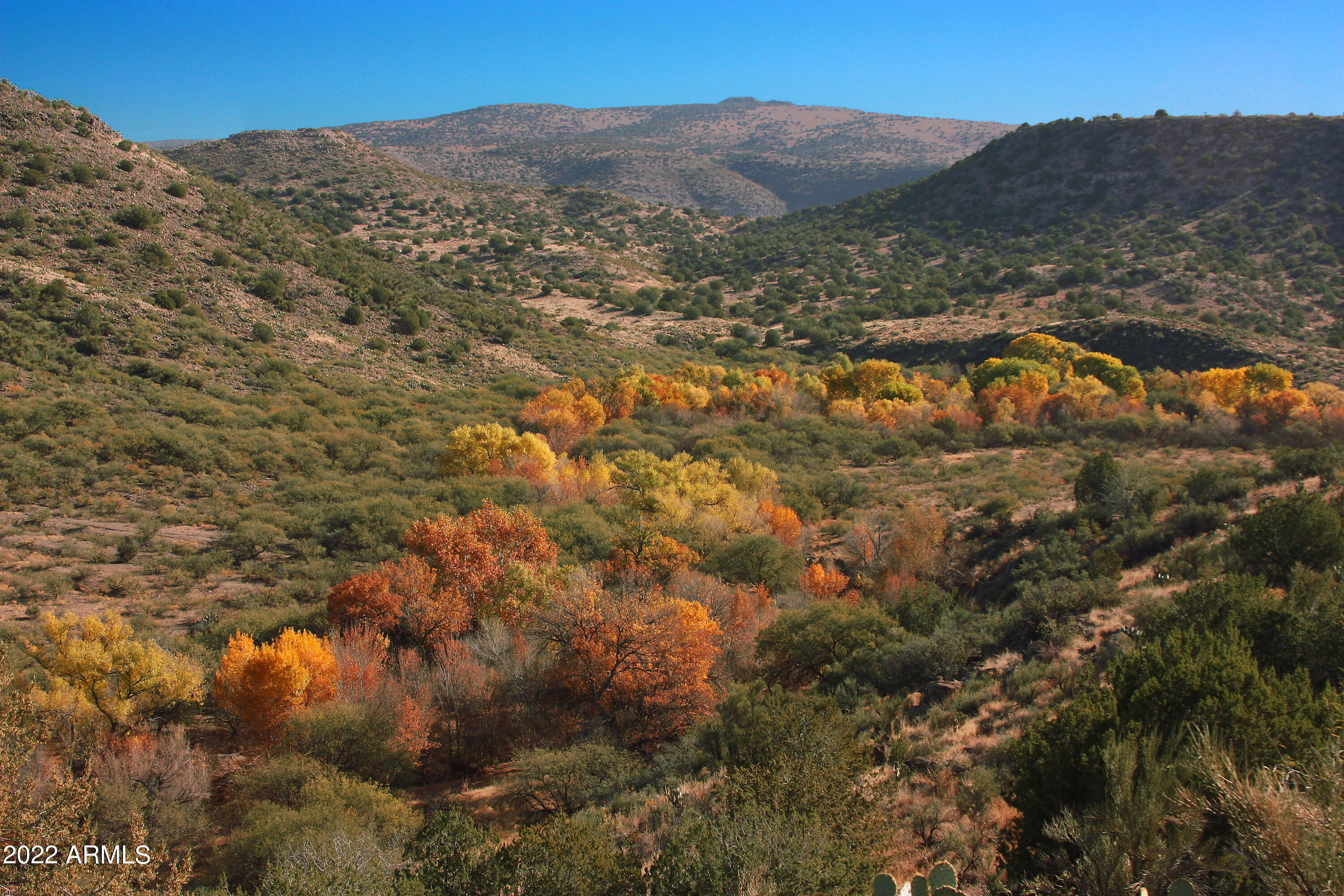 SPRING CREEK RANCH - Land