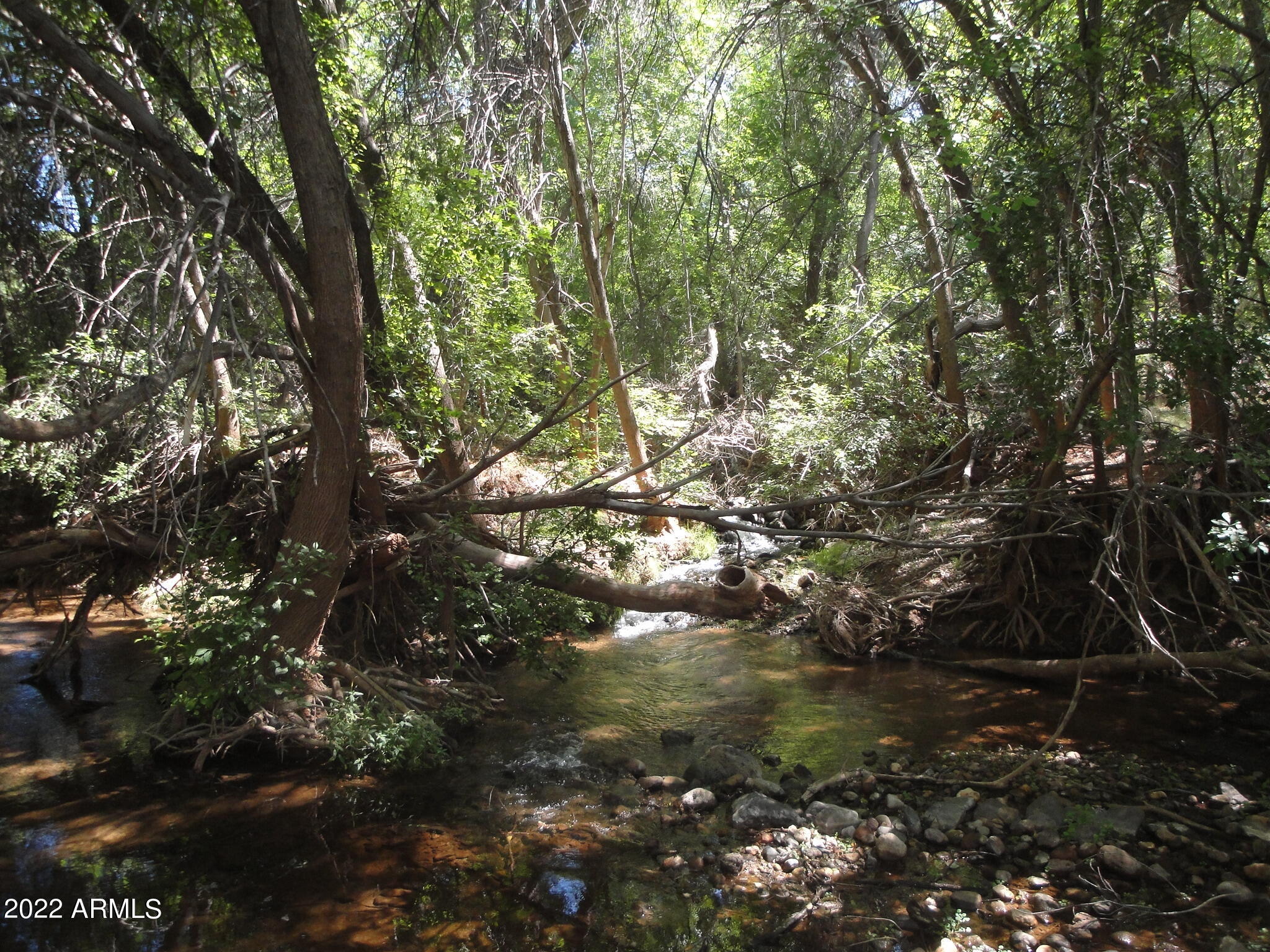 SPRING CREEK RANCH - Land