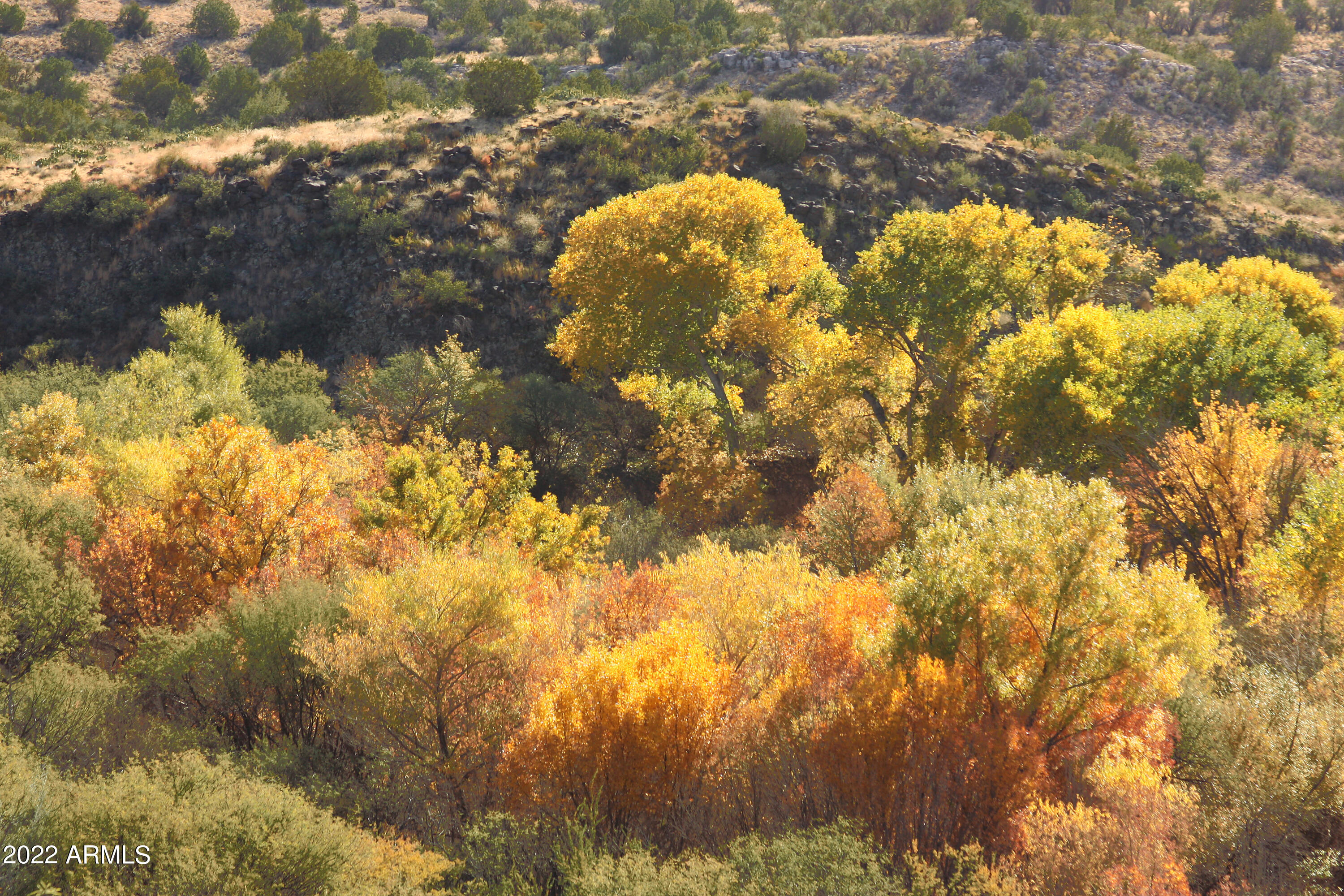 SPRING CREEK RANCH - Land