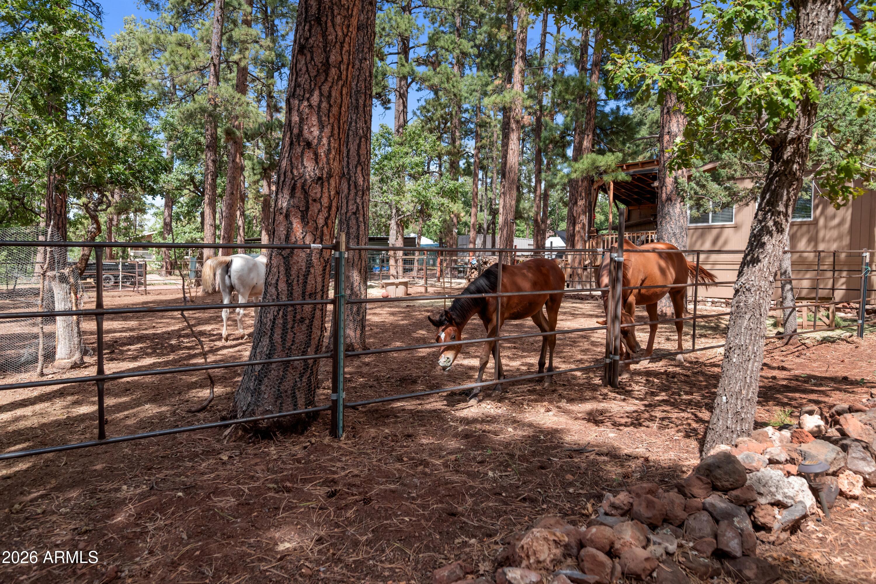 CLEAR CREEK PINES 1 AMENDED - Residential