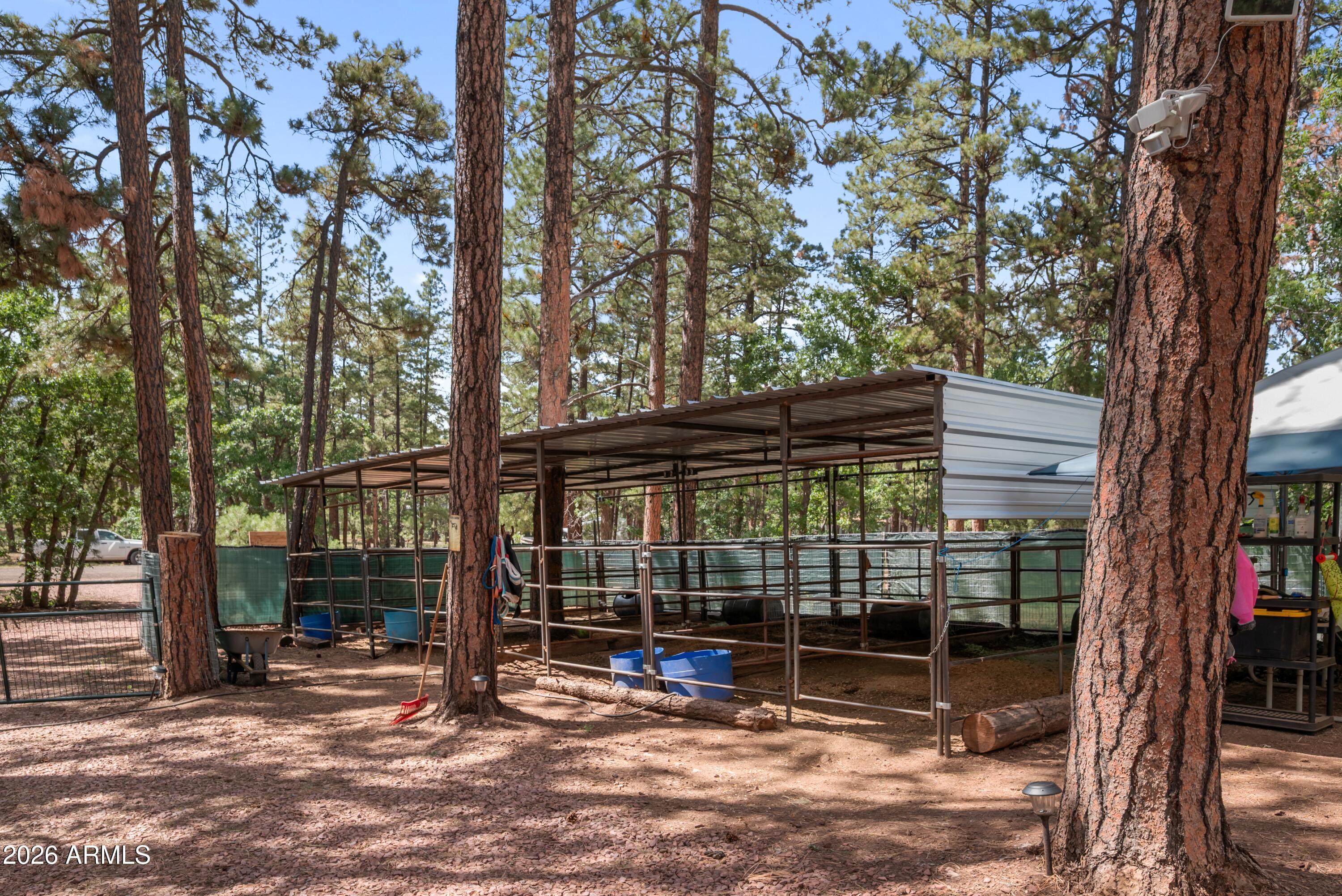 CLEAR CREEK PINES 1 AMENDED - Residential