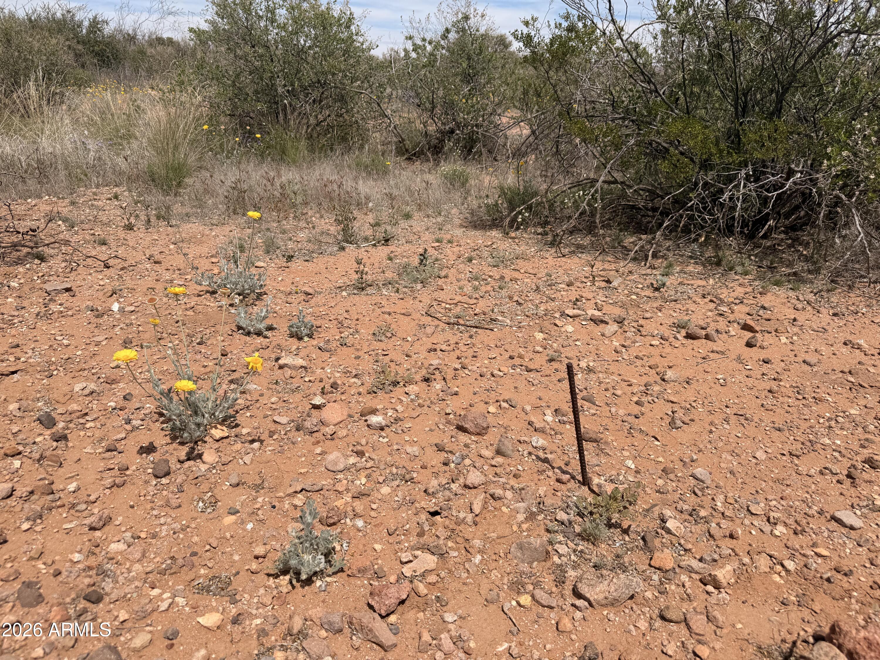 COCHISE COLLEGE PARK 10 - Land