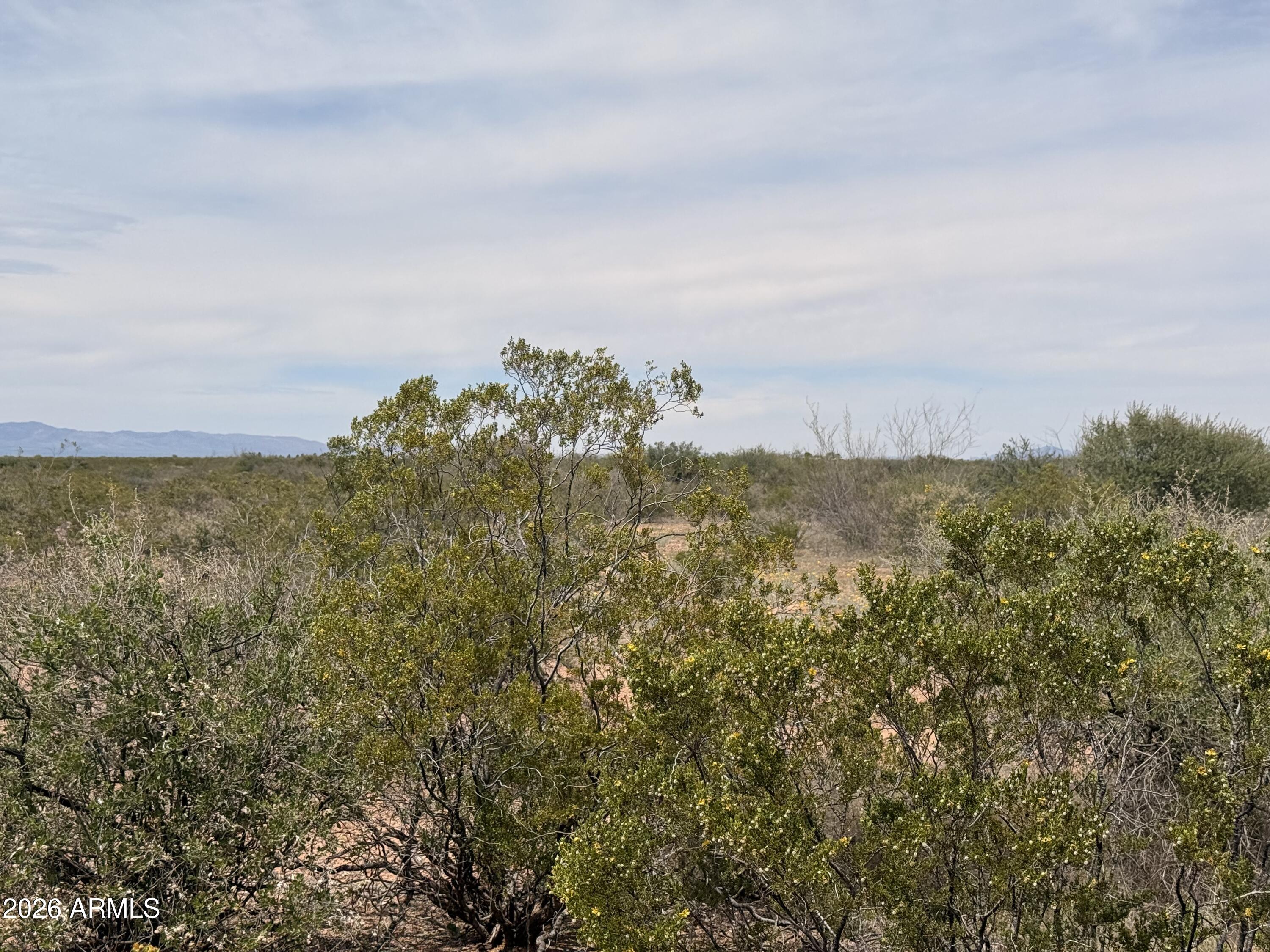 COCHISE COLLEGE PARK 10 - Land