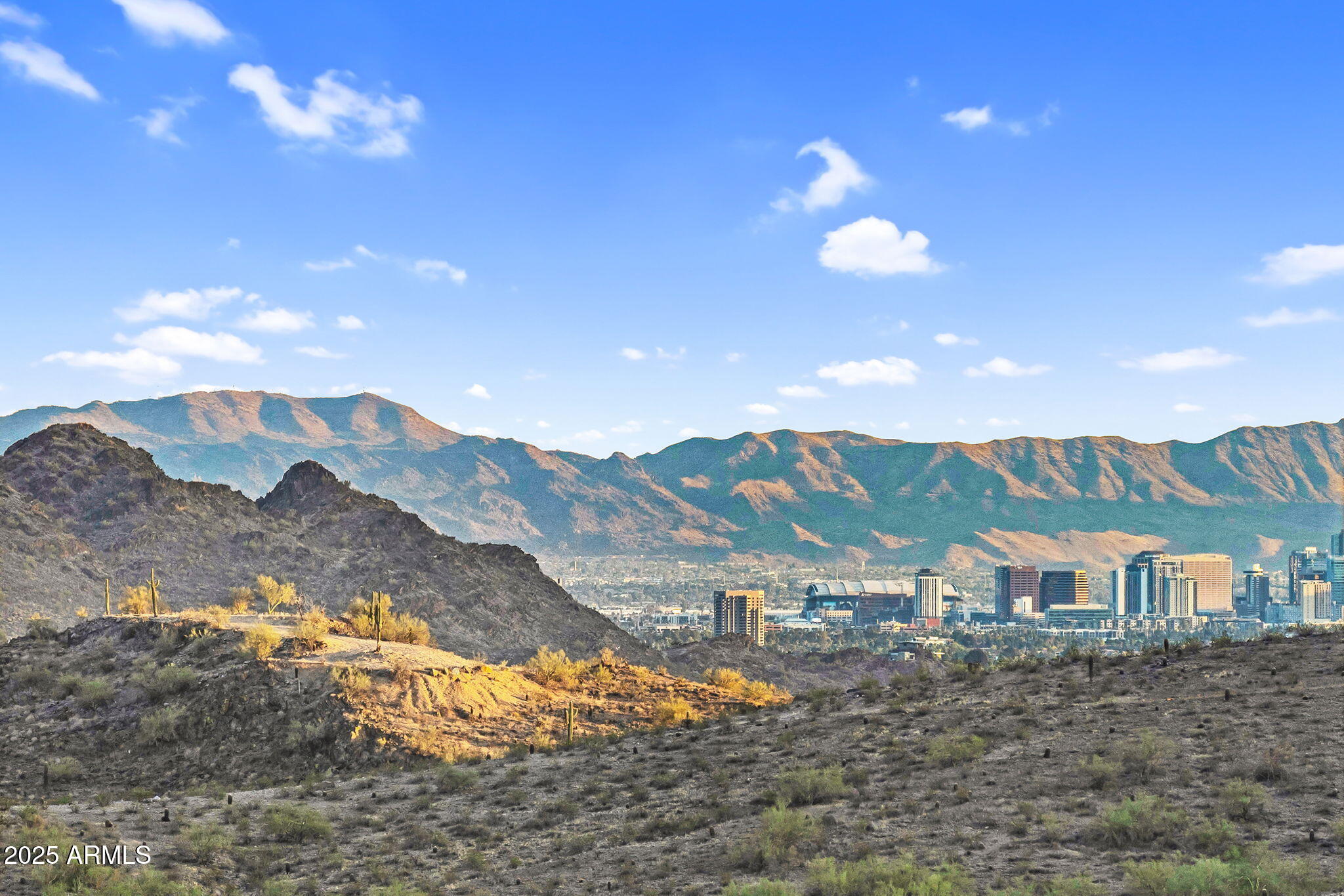 RIDGE AT LOOKOUT MOUNTAIN - Residential