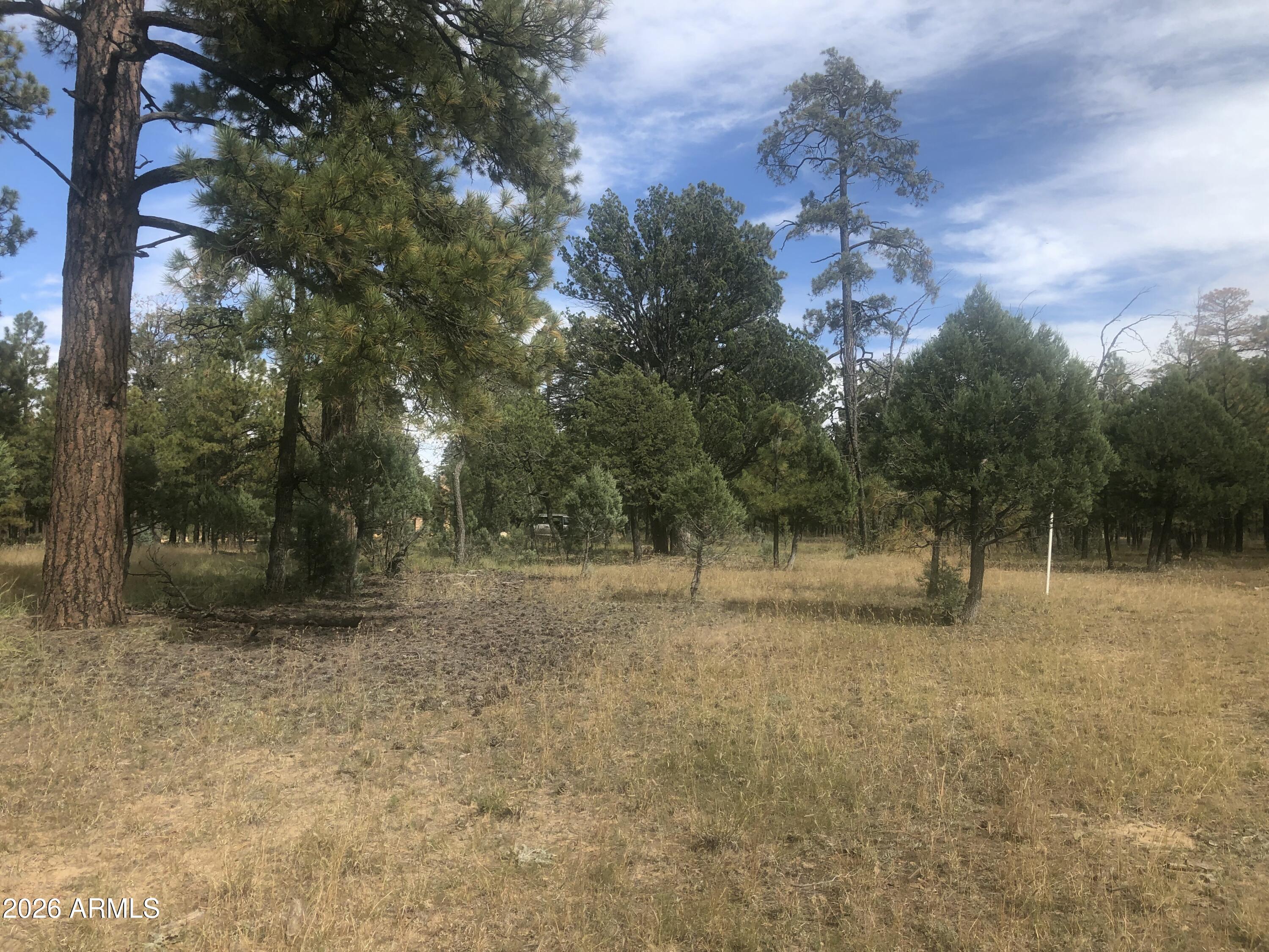 PINE CANYON 2 - Land