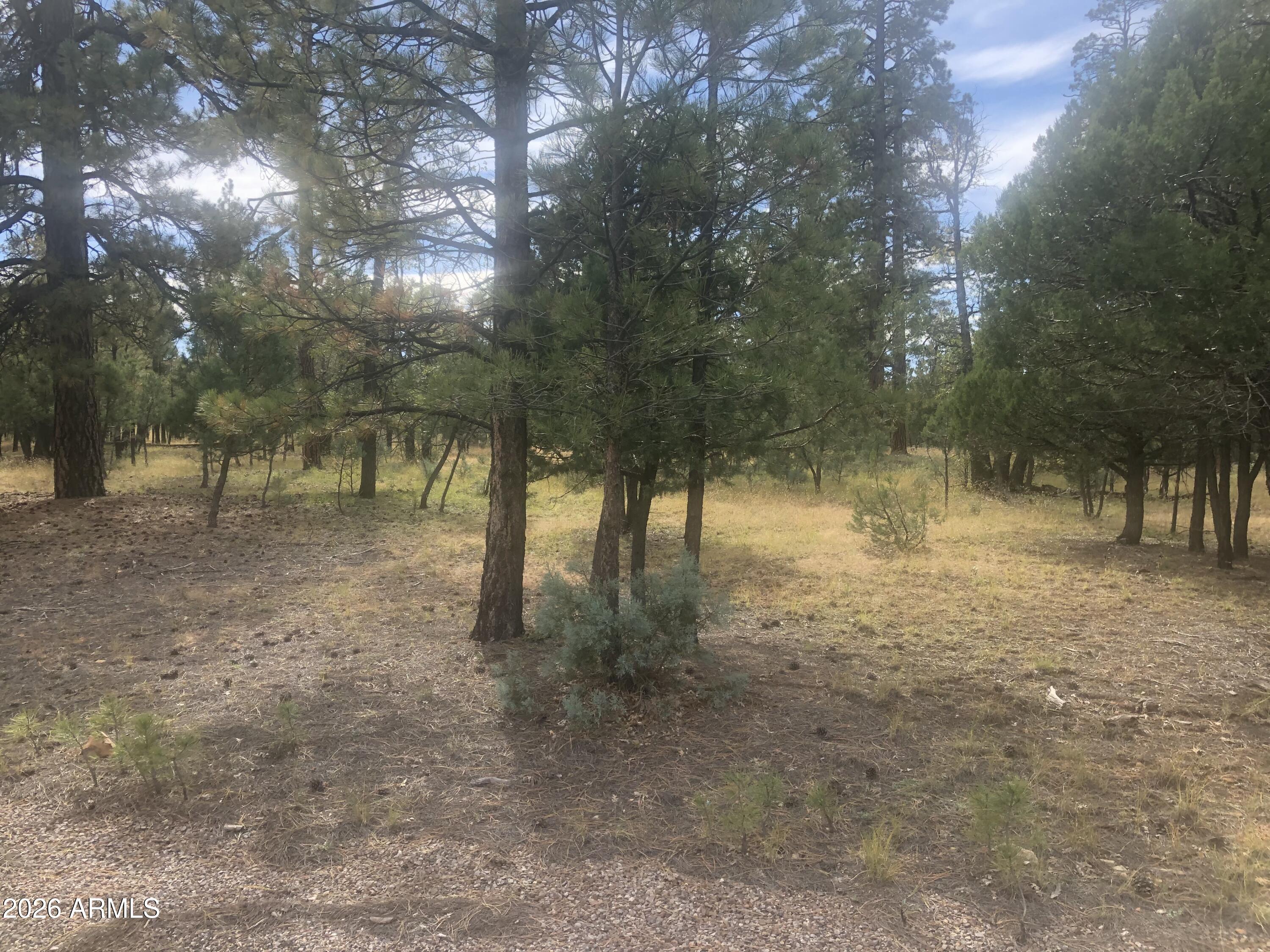 PINE CANYON 2 - Land
