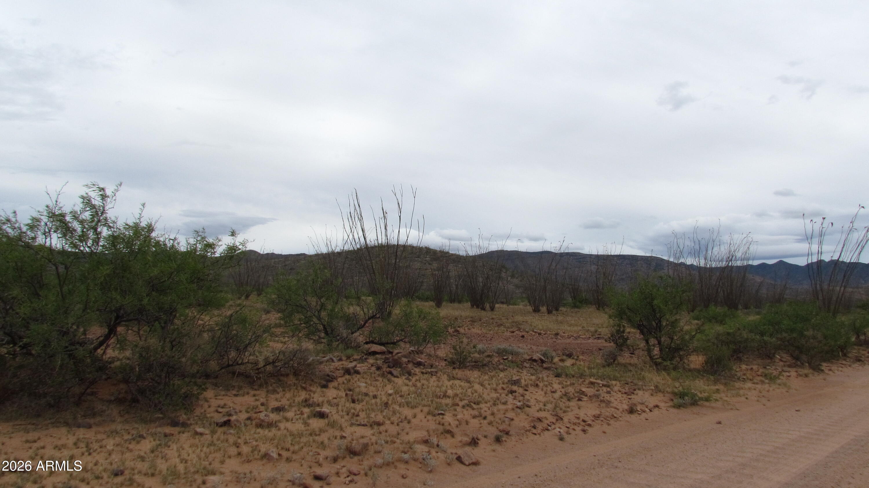 MULE MOUNTAIN RANCHES PHASE 2 - Land