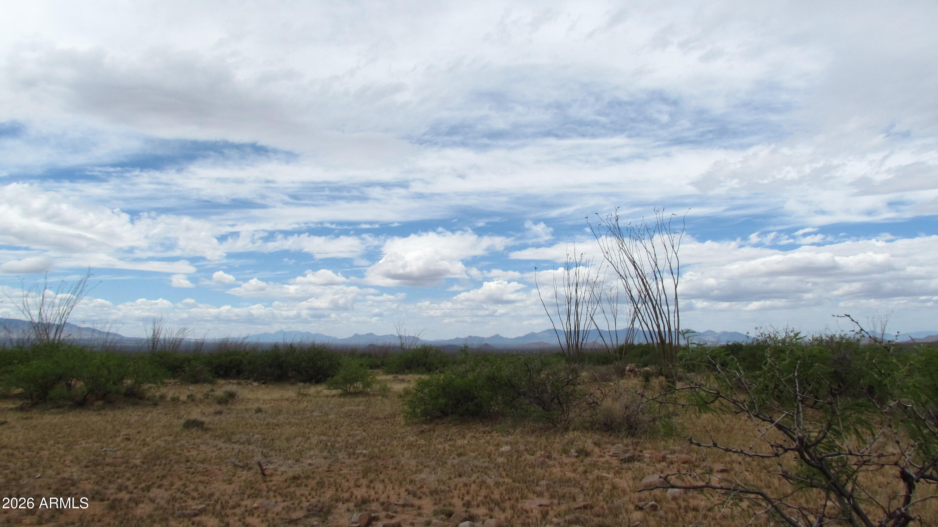 MULE MOUNTAIN RANCHES PHASE 2 - Land