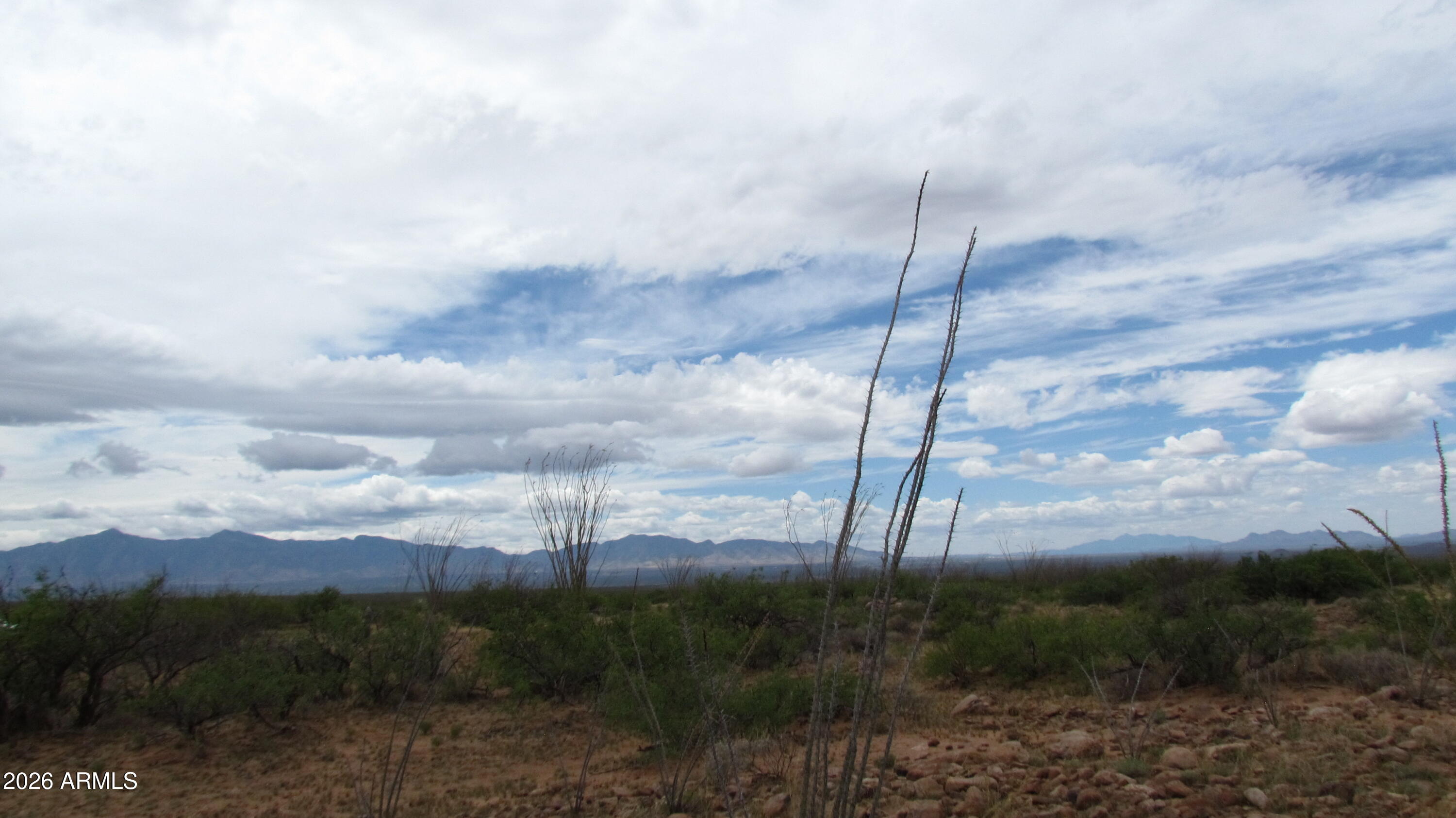 MULE MOUNTAIN RANCHES PHASE 2 - Land