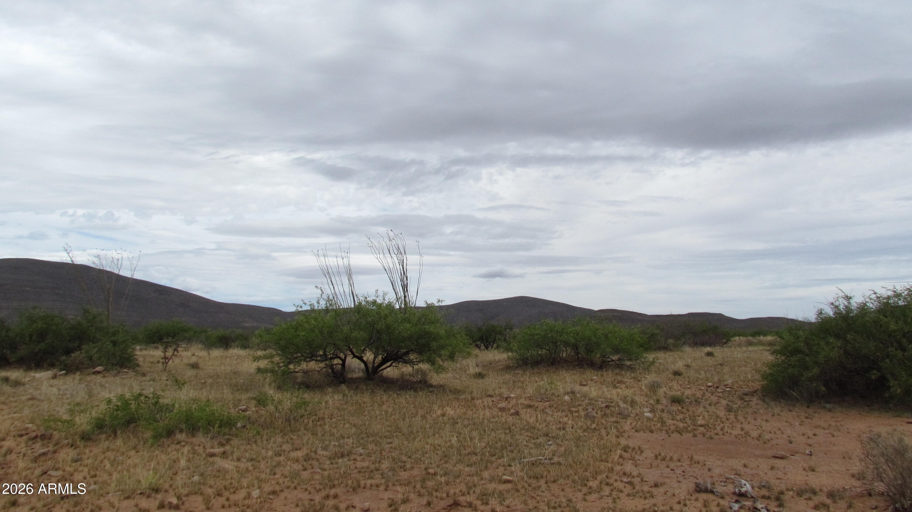 MULE MOUNTAIN RANCHES PHASE 2 - Land