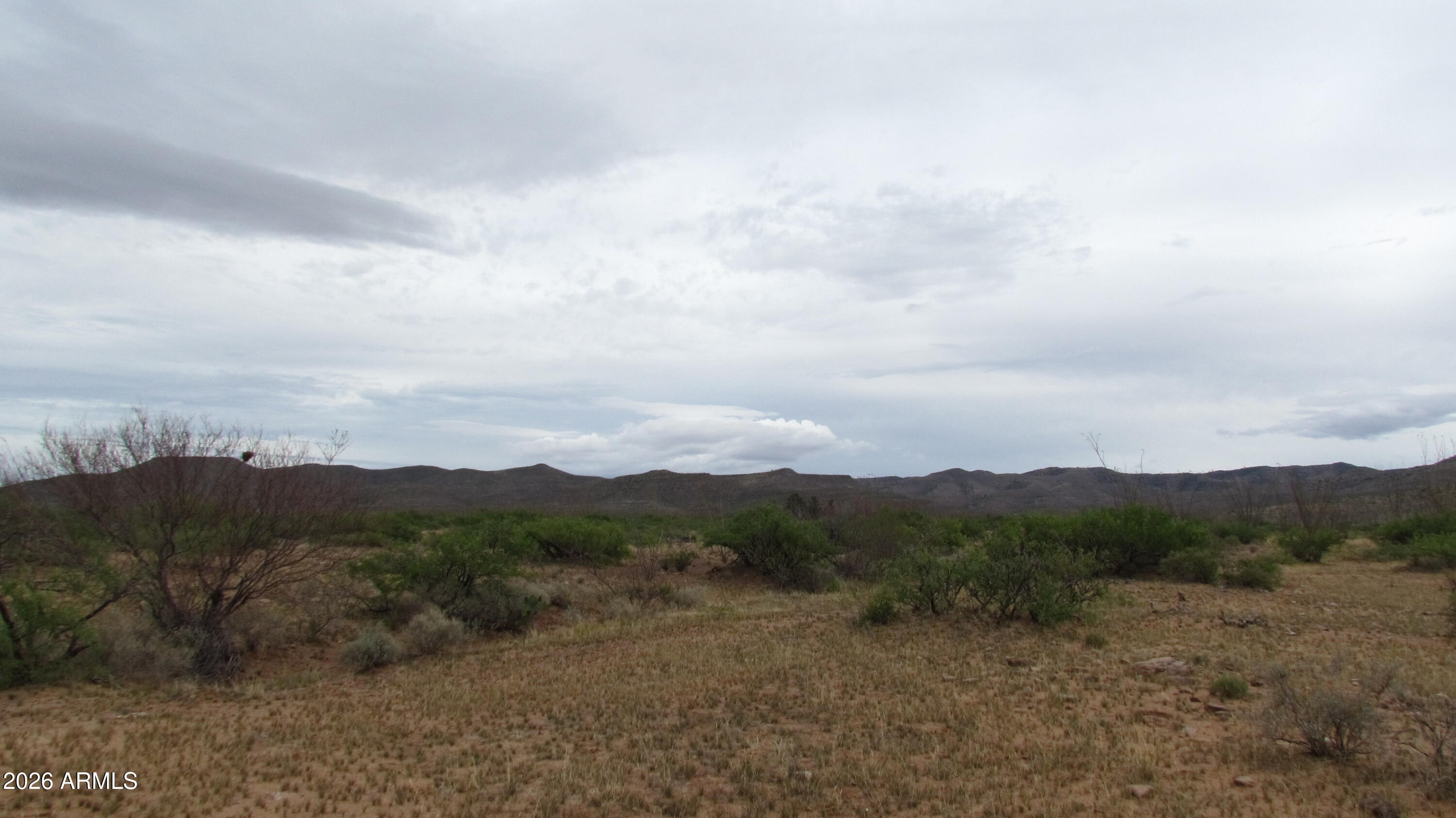 MULE MOUNTAIN RANCHES PHASE 2 - Land