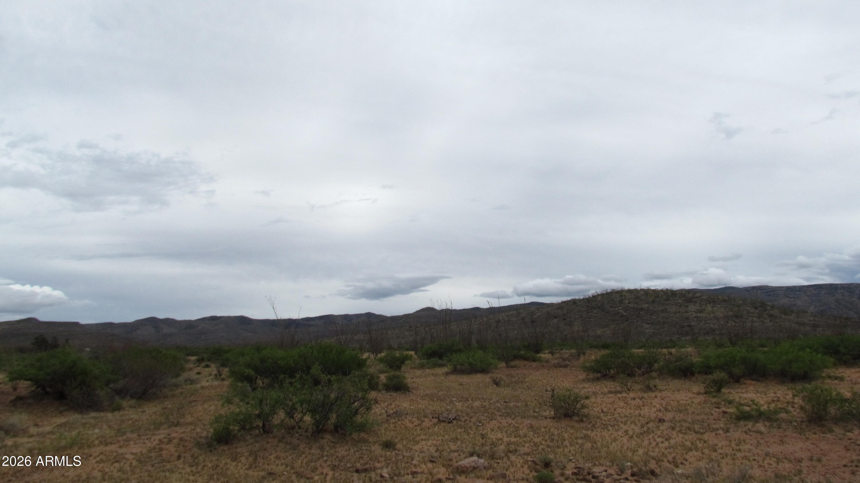 MULE MOUNTAIN RANCHES PHASE 2 - Land