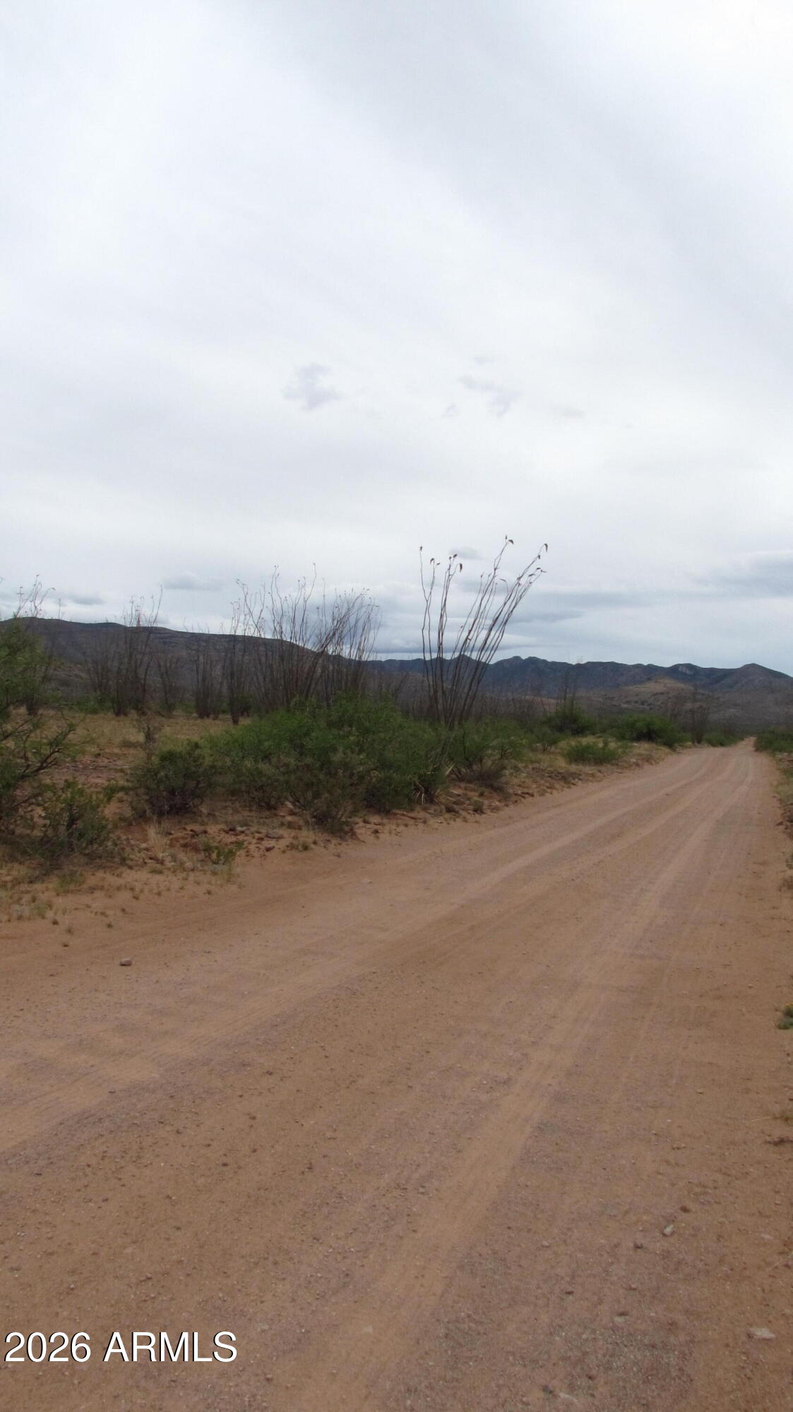 MULE MOUNTAIN RANCHES PHASE 2 - Land