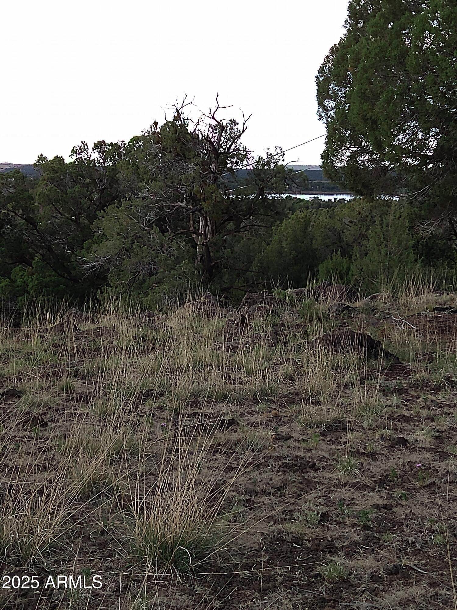 WHITE MOUNTAIN LAKES UNIT 3 - Land