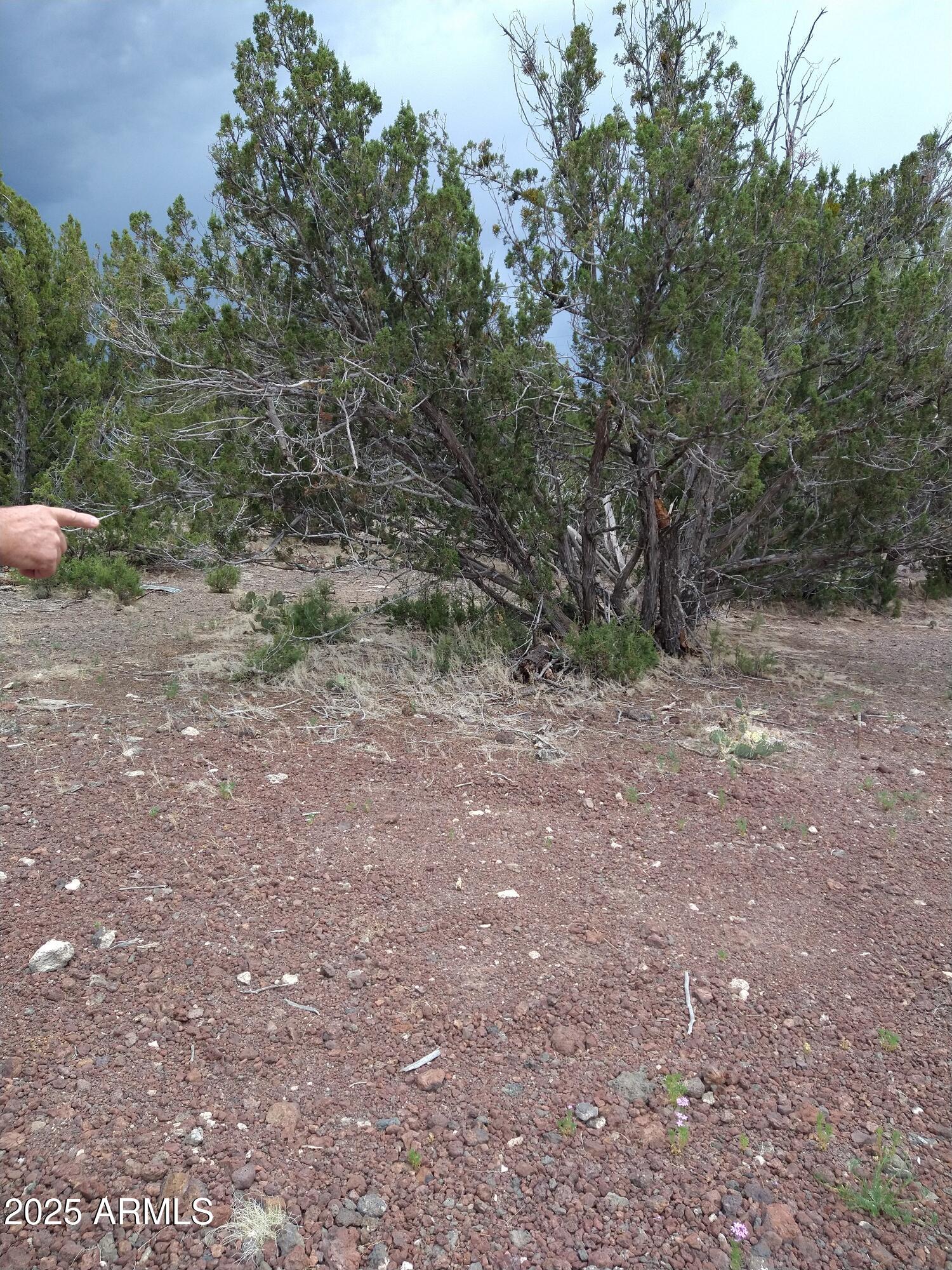 WHITE MOUNTAIN LAKES UNIT 3 - Land