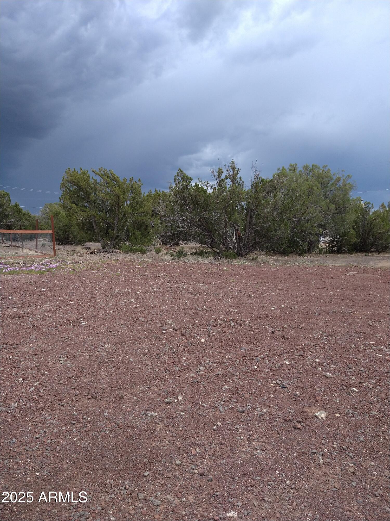 WHITE MOUNTAIN LAKES UNIT 3 - Land