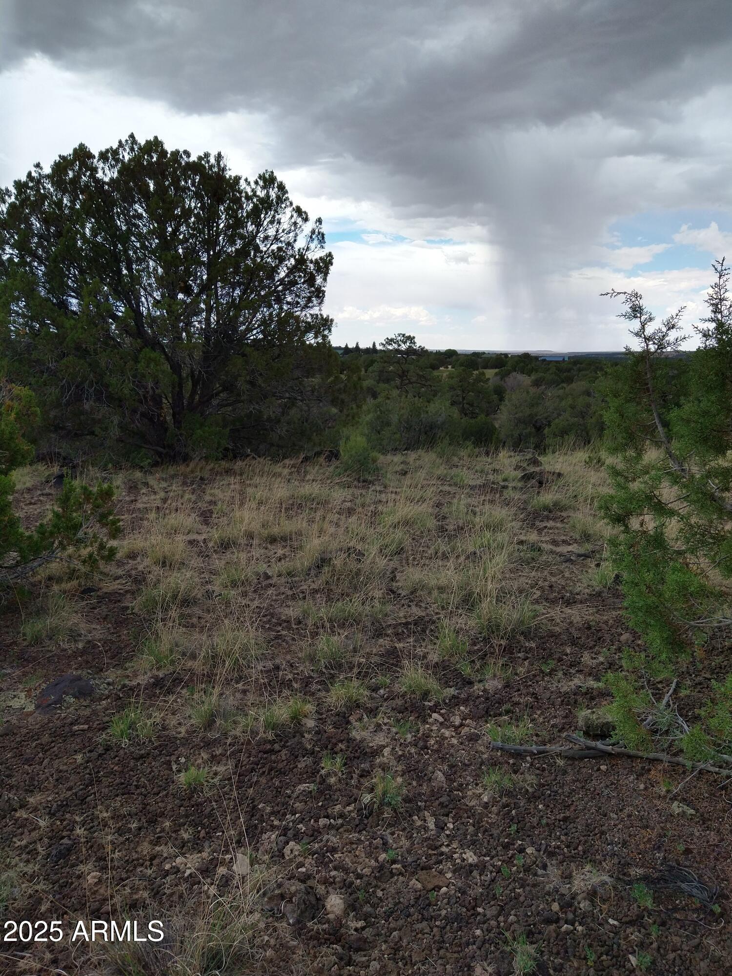 WHITE MOUNTAIN LAKES UNIT 3 - Land