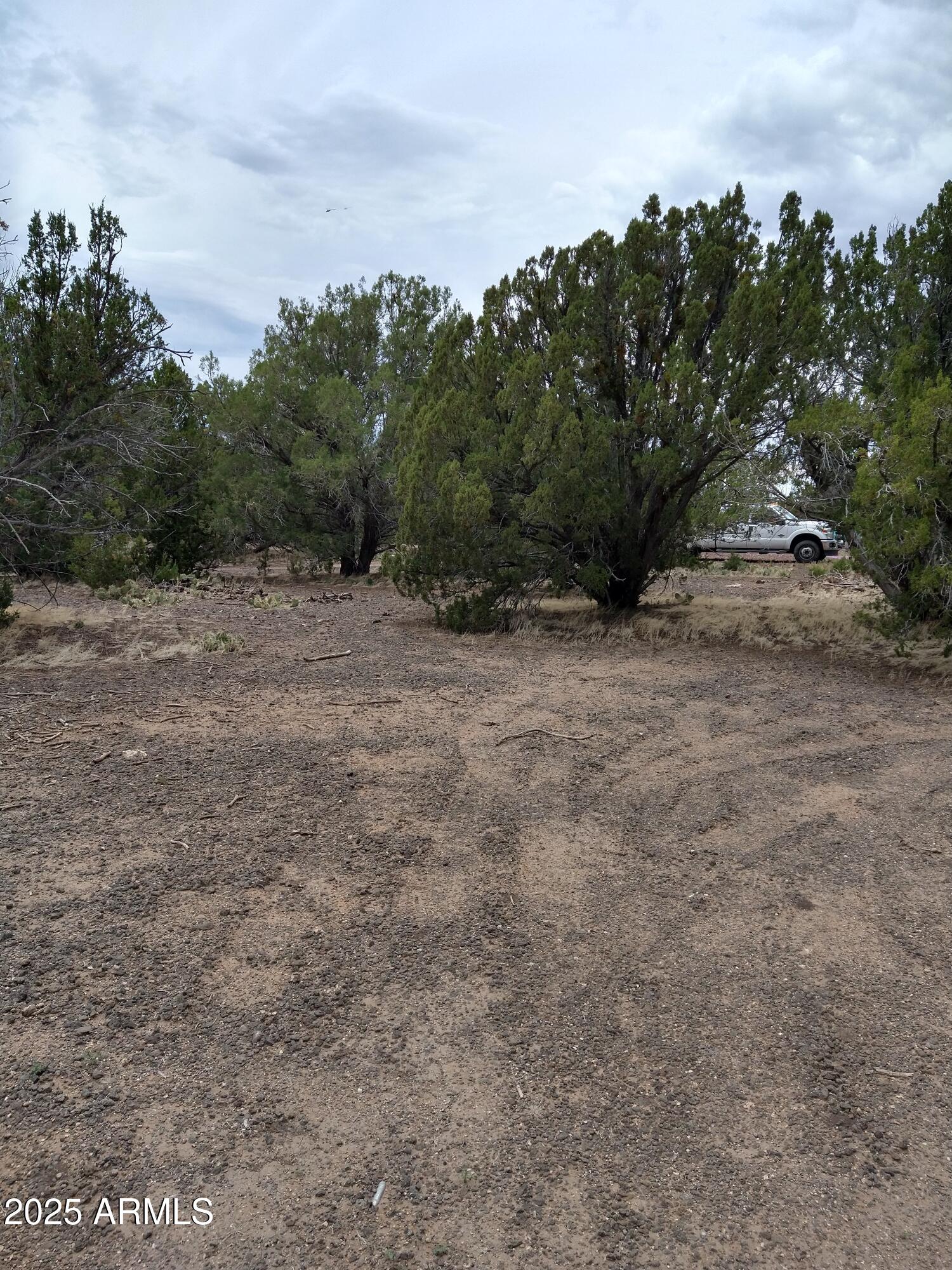 WHITE MOUNTAIN LAKES UNIT 3 - Land