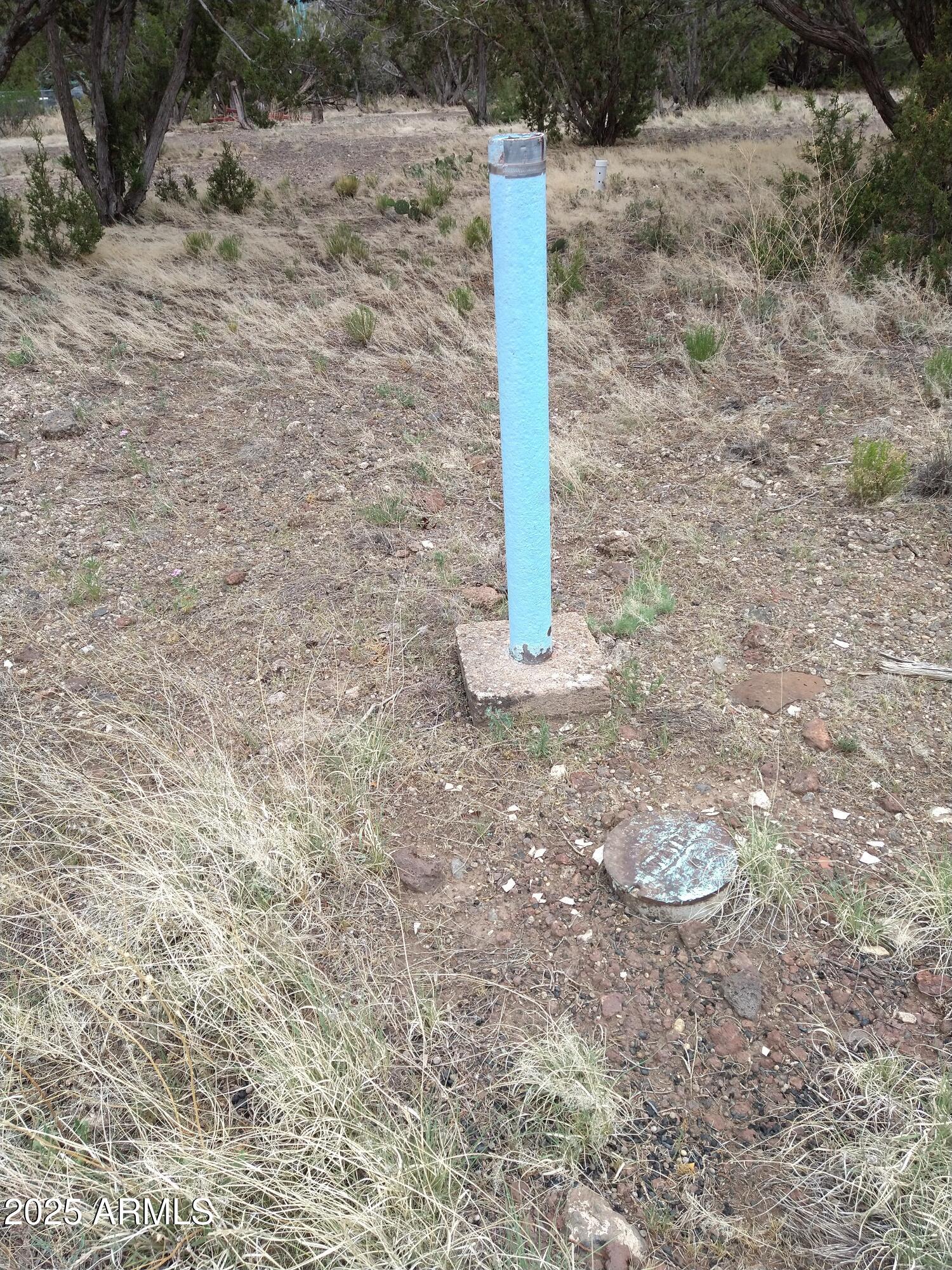 WHITE MOUNTAIN LAKES UNIT 3 - Land