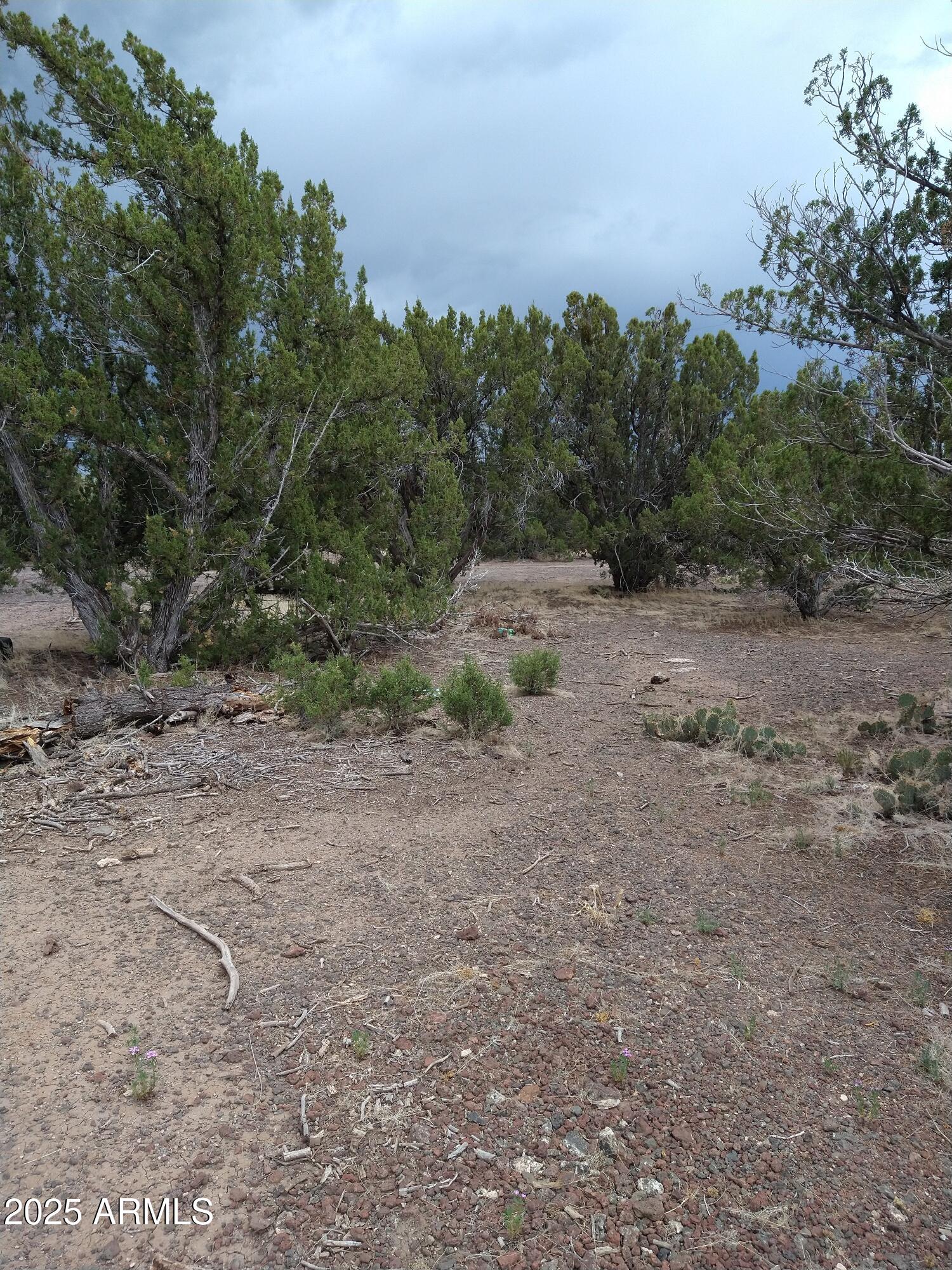 WHITE MOUNTAIN LAKES UNIT 3 - Land