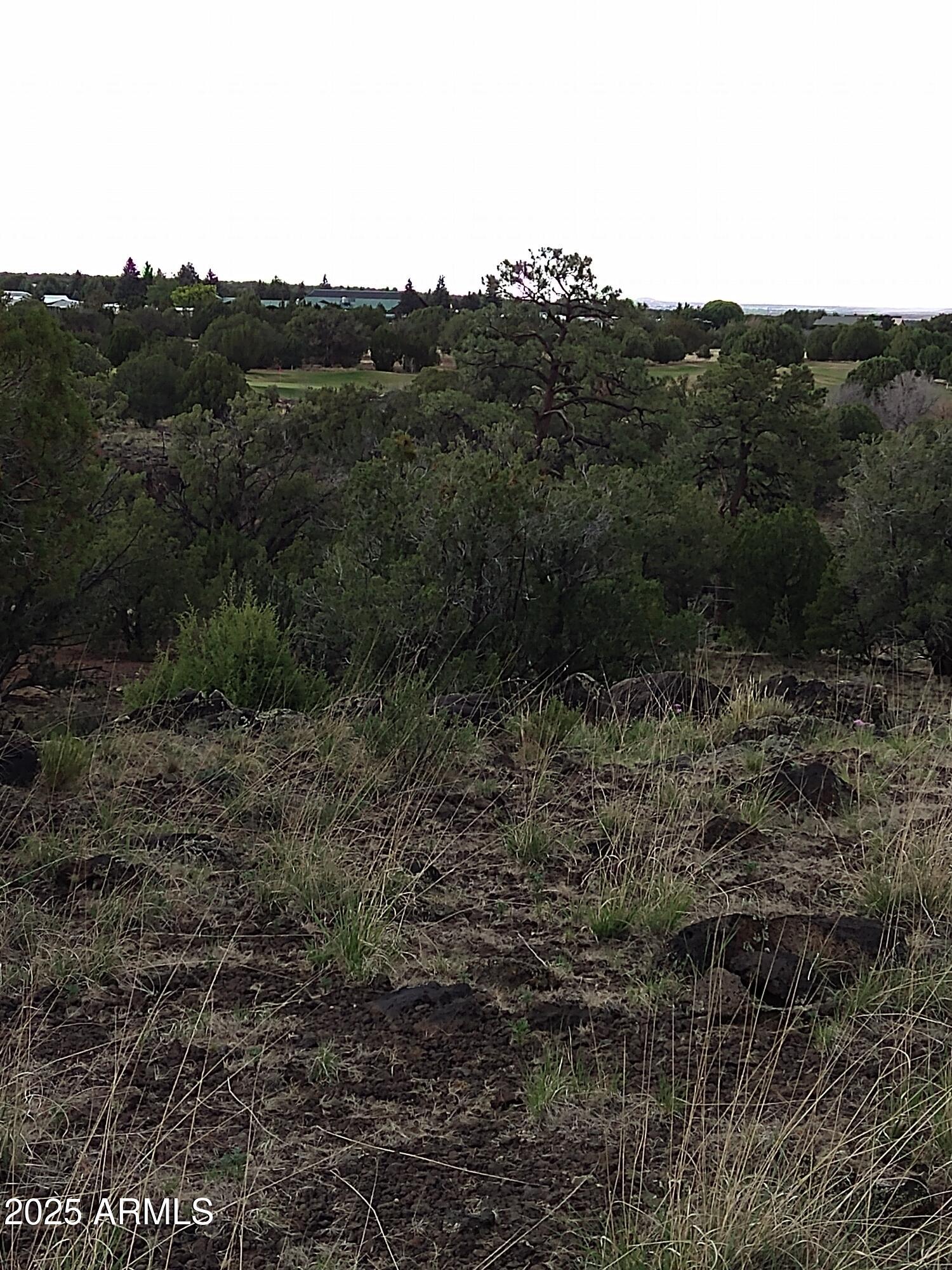 WHITE MOUNTAIN LAKES UNIT 3 - Land