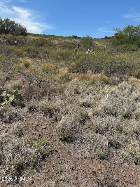 BENSCH RANCH UNIT 1 - Land
