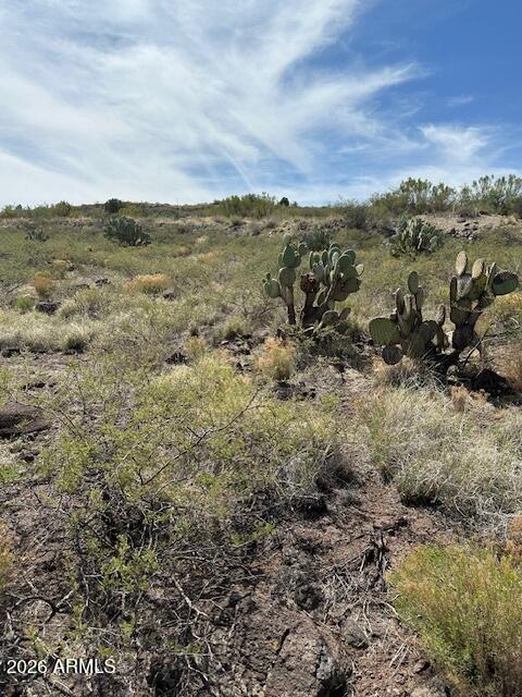 BENSCH RANCH UNIT 1 - Land