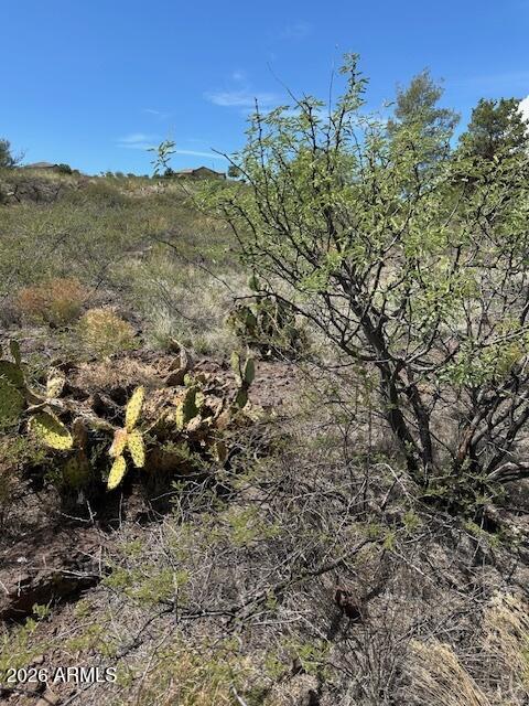 BENSCH RANCH UNIT 1 - Land