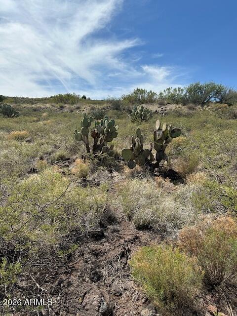 BENSCH RANCH UNIT 1 - Land